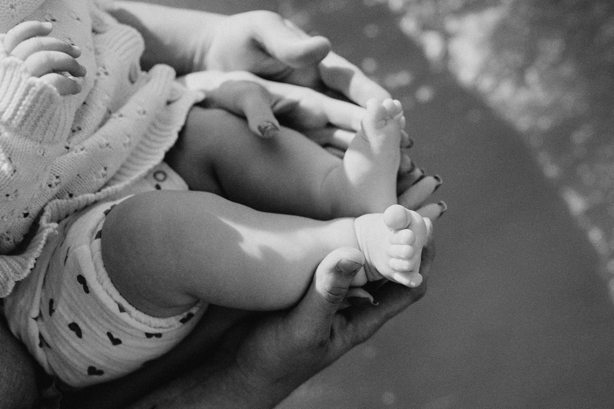 Павел, Ксения и Евангелина