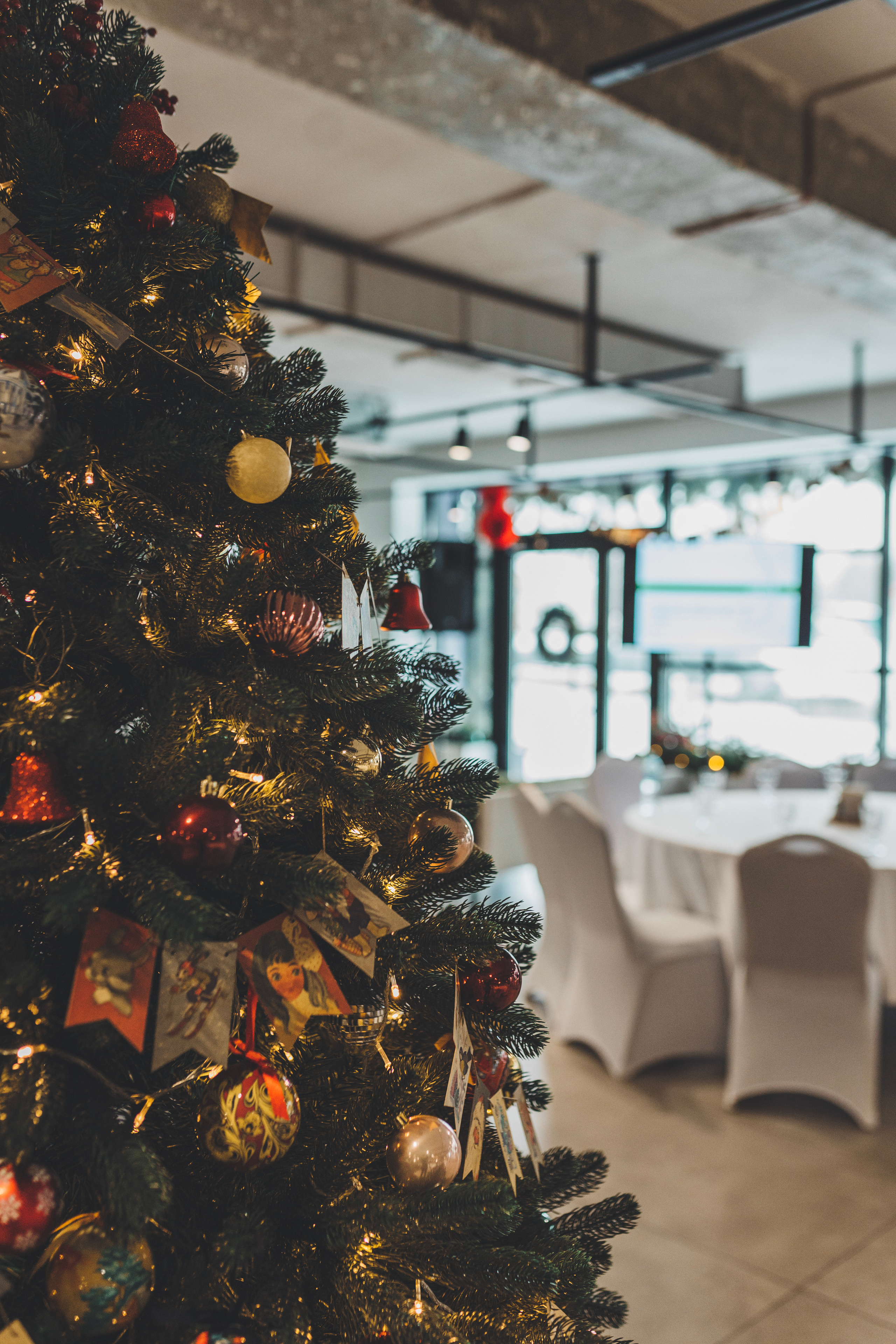 SYNGENTA. Итоги года. Мария Беседина. Фотография о любви