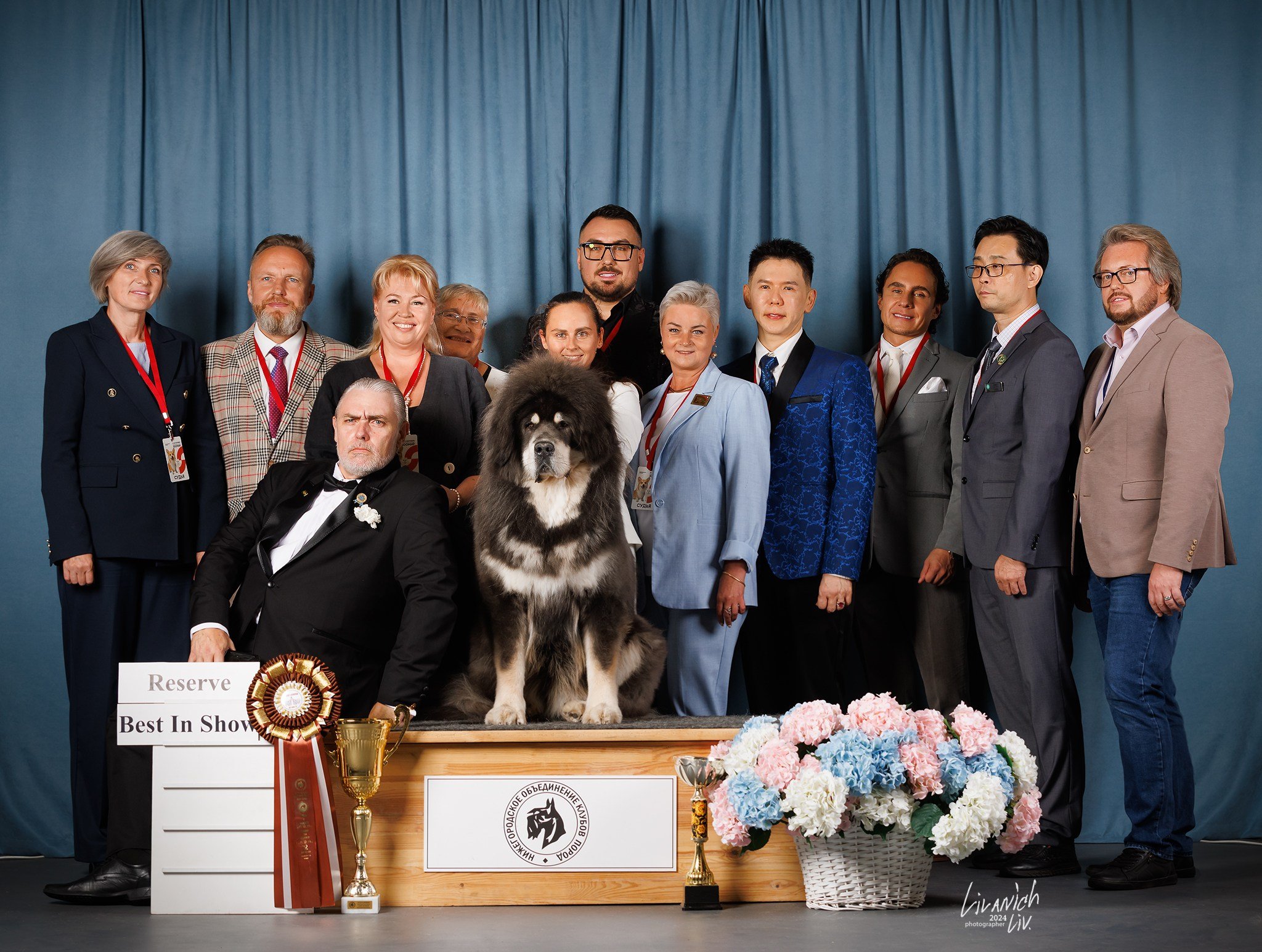 Выставки. Фотограф для вашей собаки