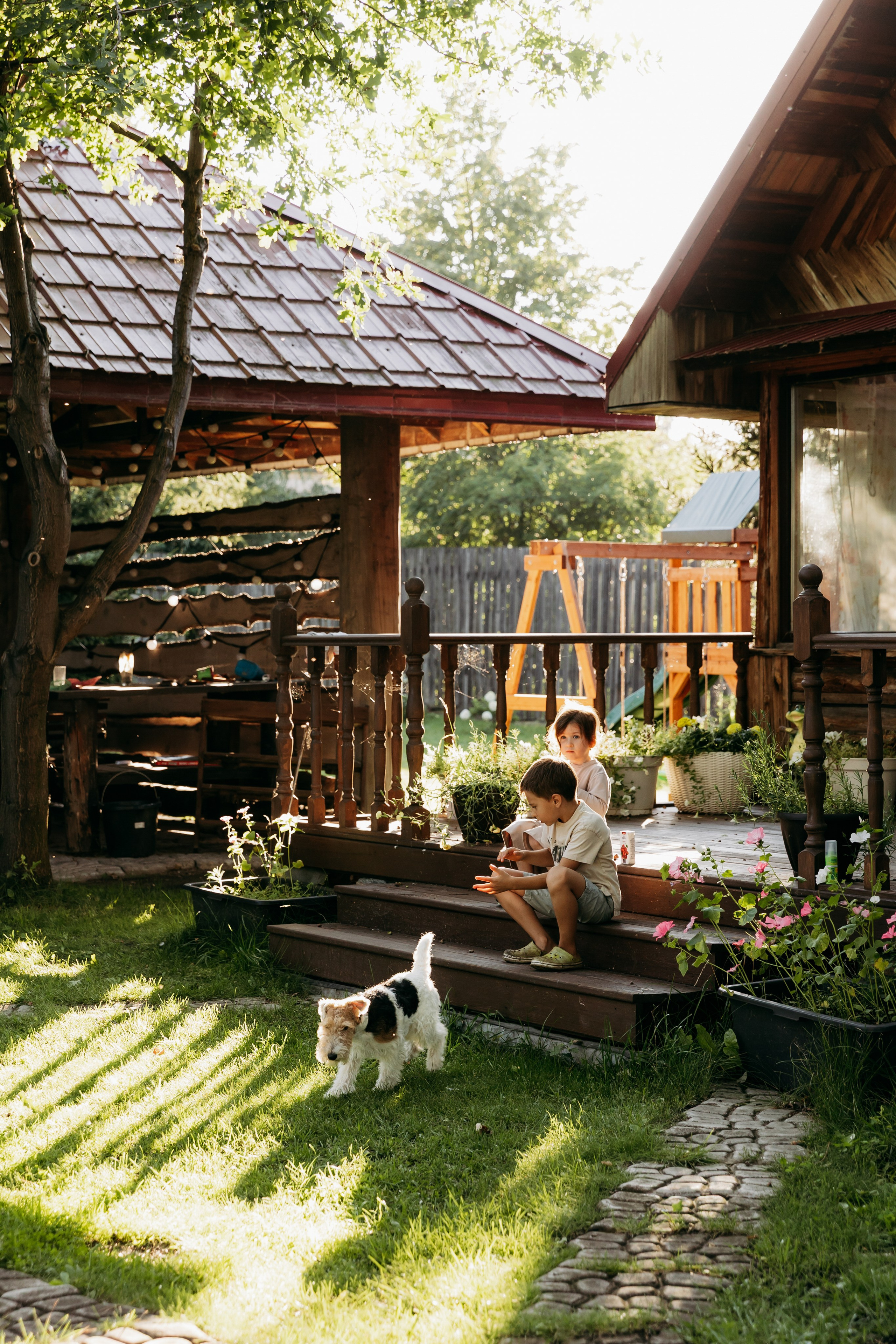 Большая дачная история. Главная