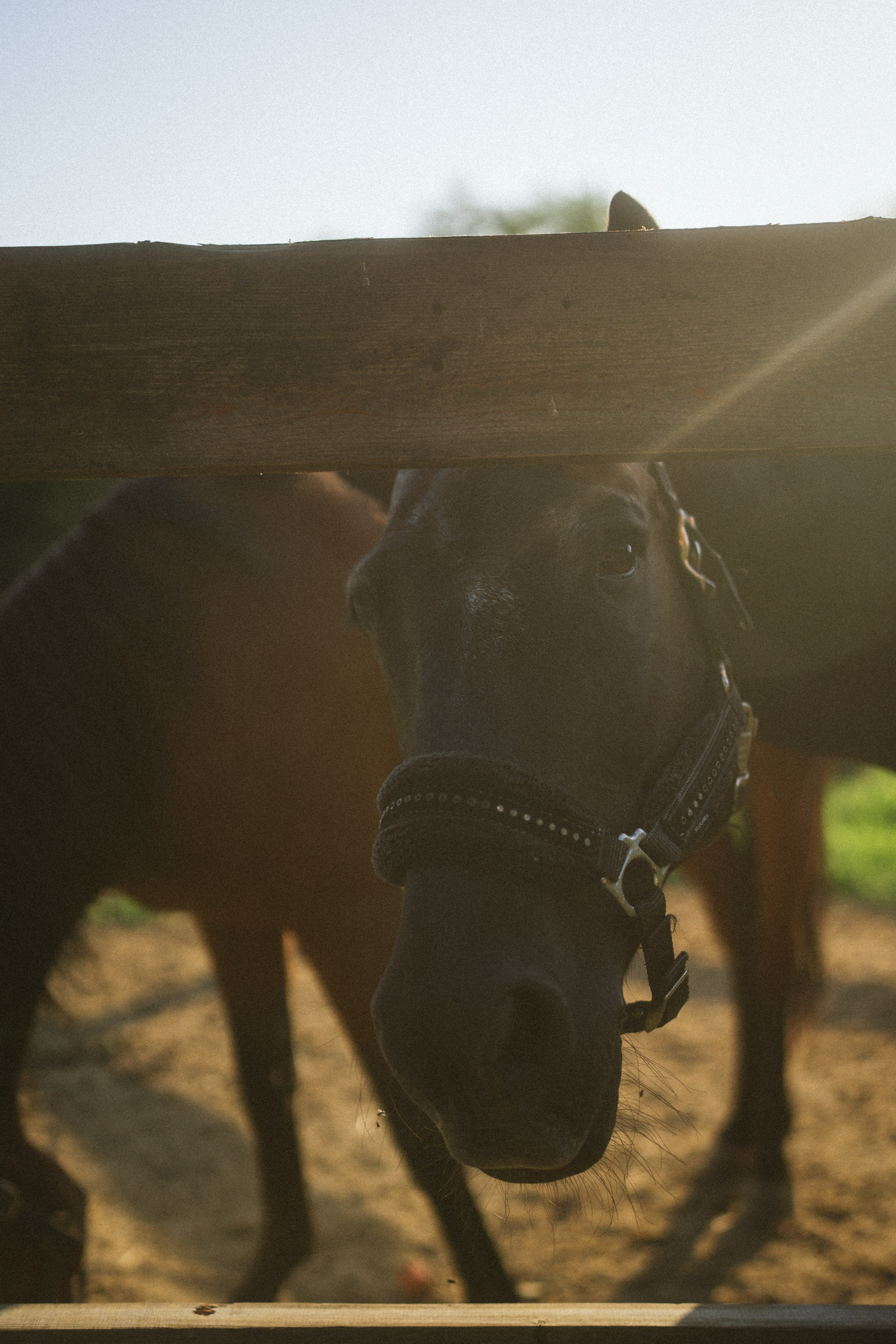 43. Фотограф Батуми | Ксения Кинасова