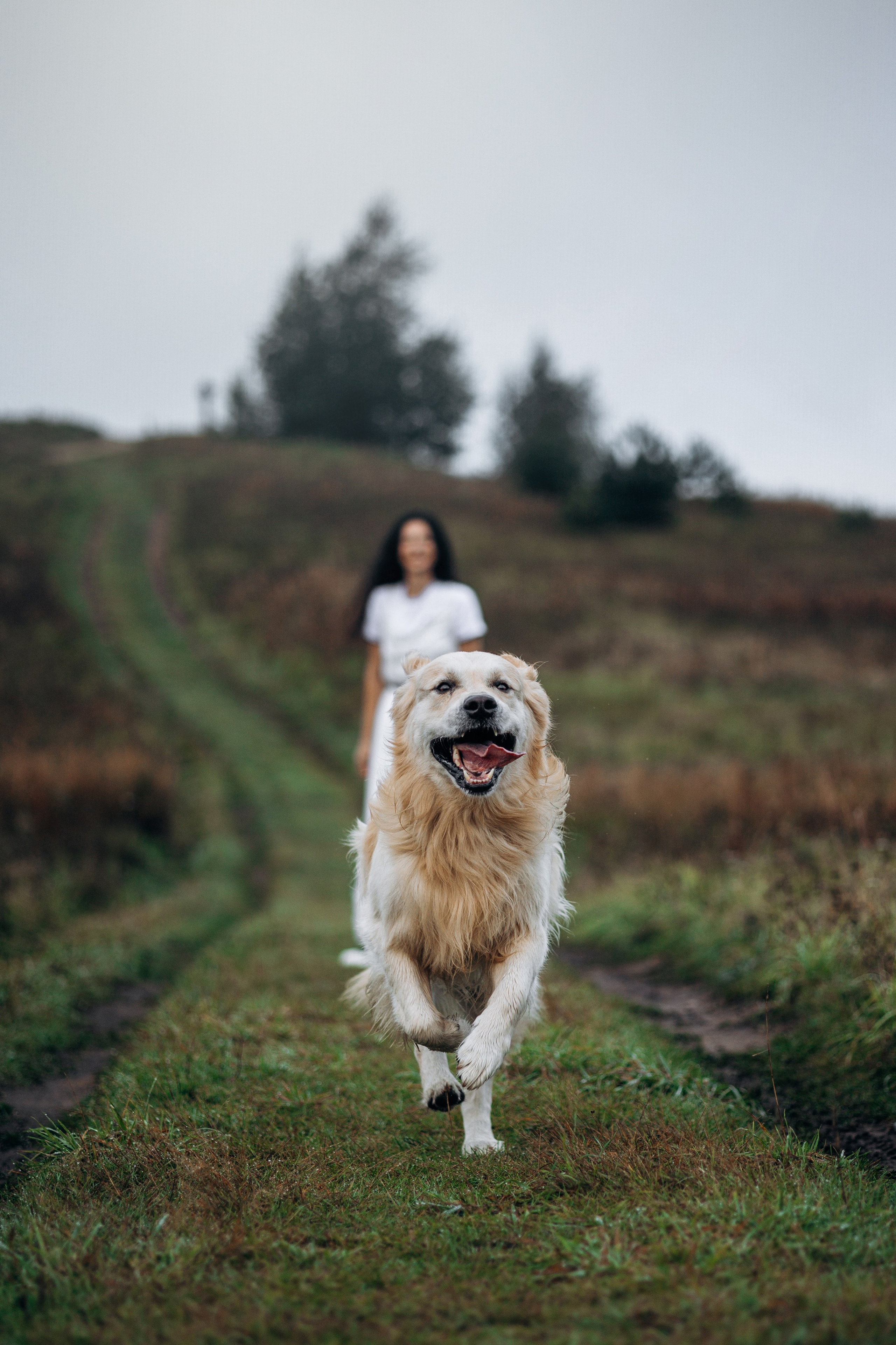 Лёва и его семья. Фотограф — Анималист | Санкт-Петербург