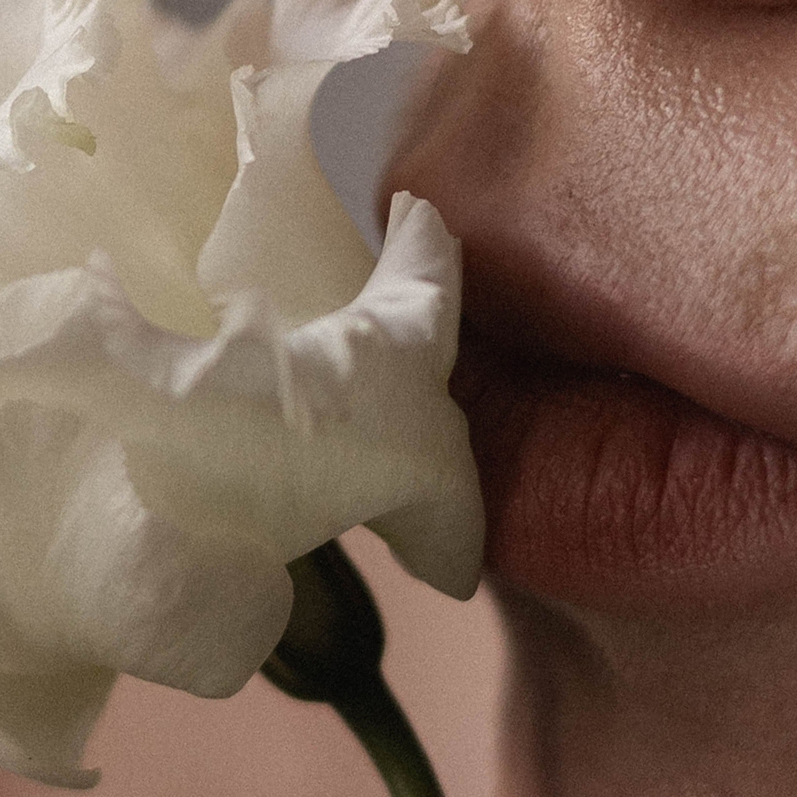 Татьяна. Свадебный и портретный фотограф Соломко Диана