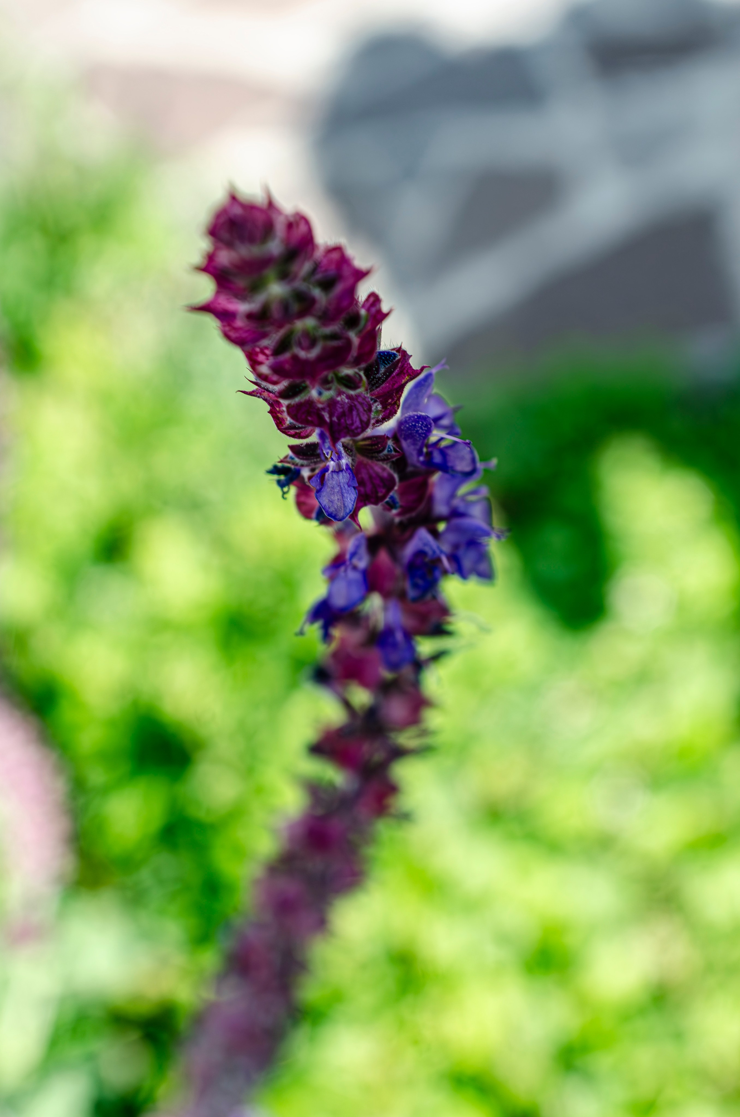 Дары Природы. Sreda fotoArt