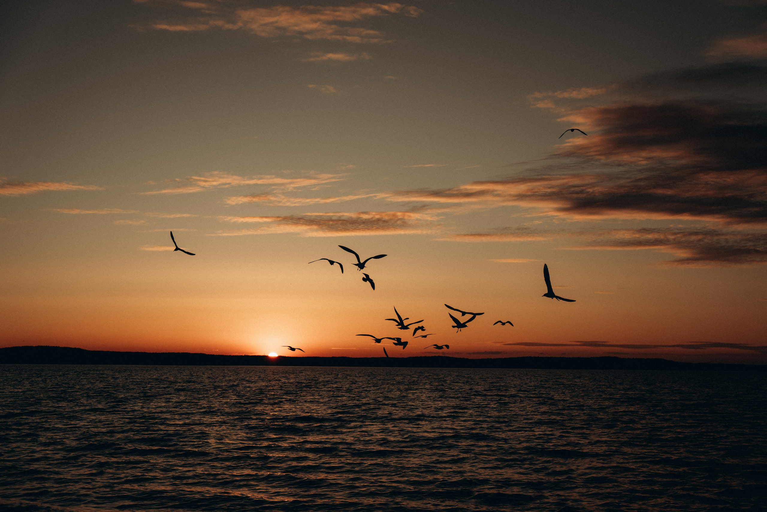 Катя, Рома, Ева и Лика. Фотограф в Минске — Мария Миллс