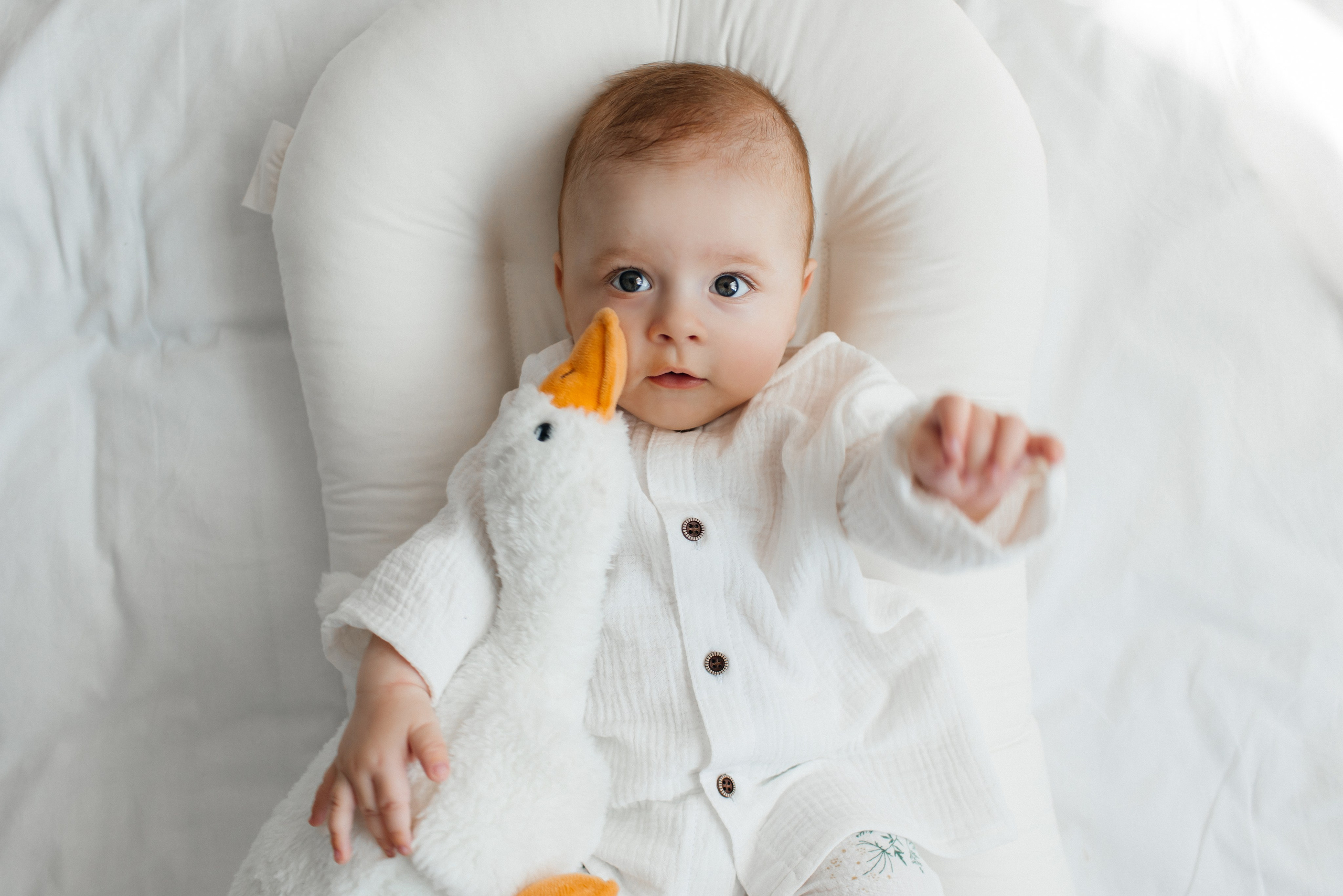 Малыши 3-12 месяцев. Newborn Фотограф в Твери