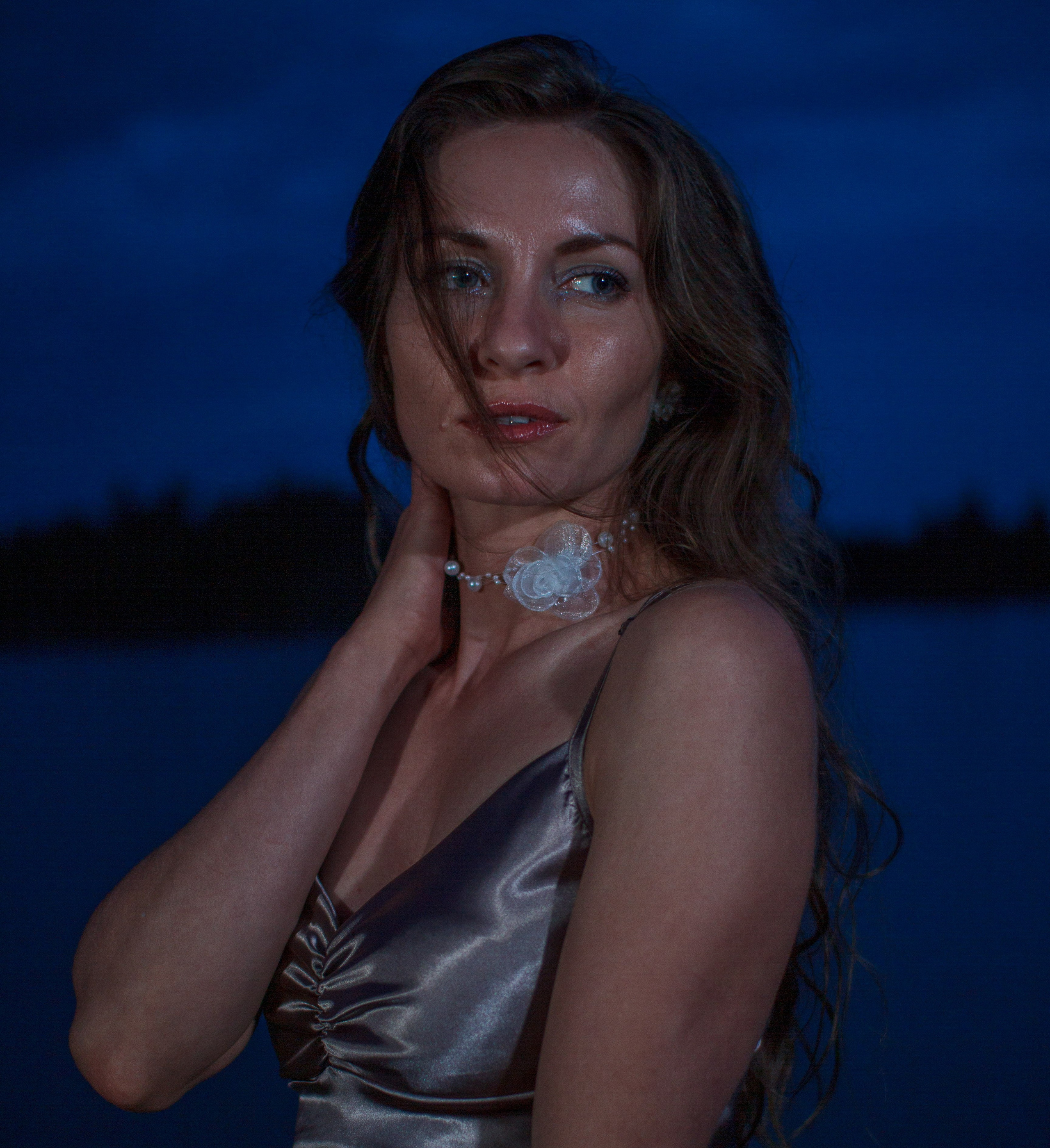 Ноктюрн в сумерках