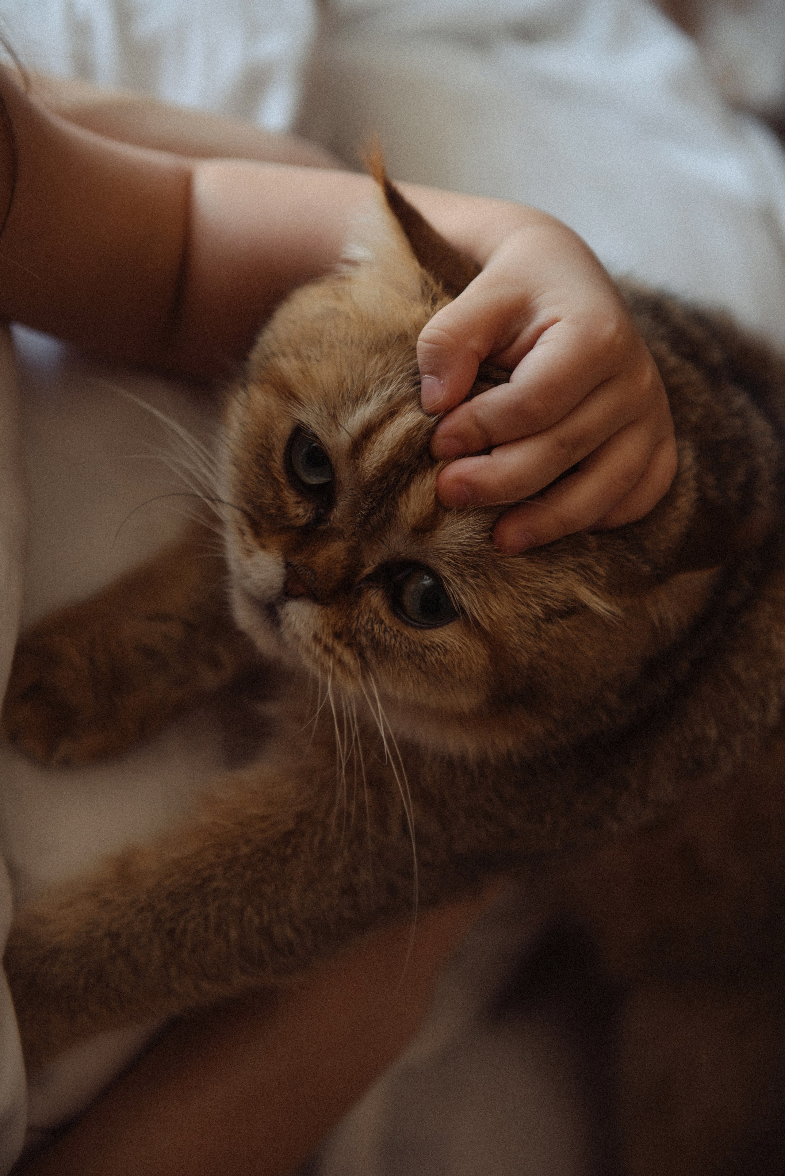 Юля, Аня и хвостики. Свадебный, портретный, фотограф беременности в Нижнем Новгороде Алина Зиновьева