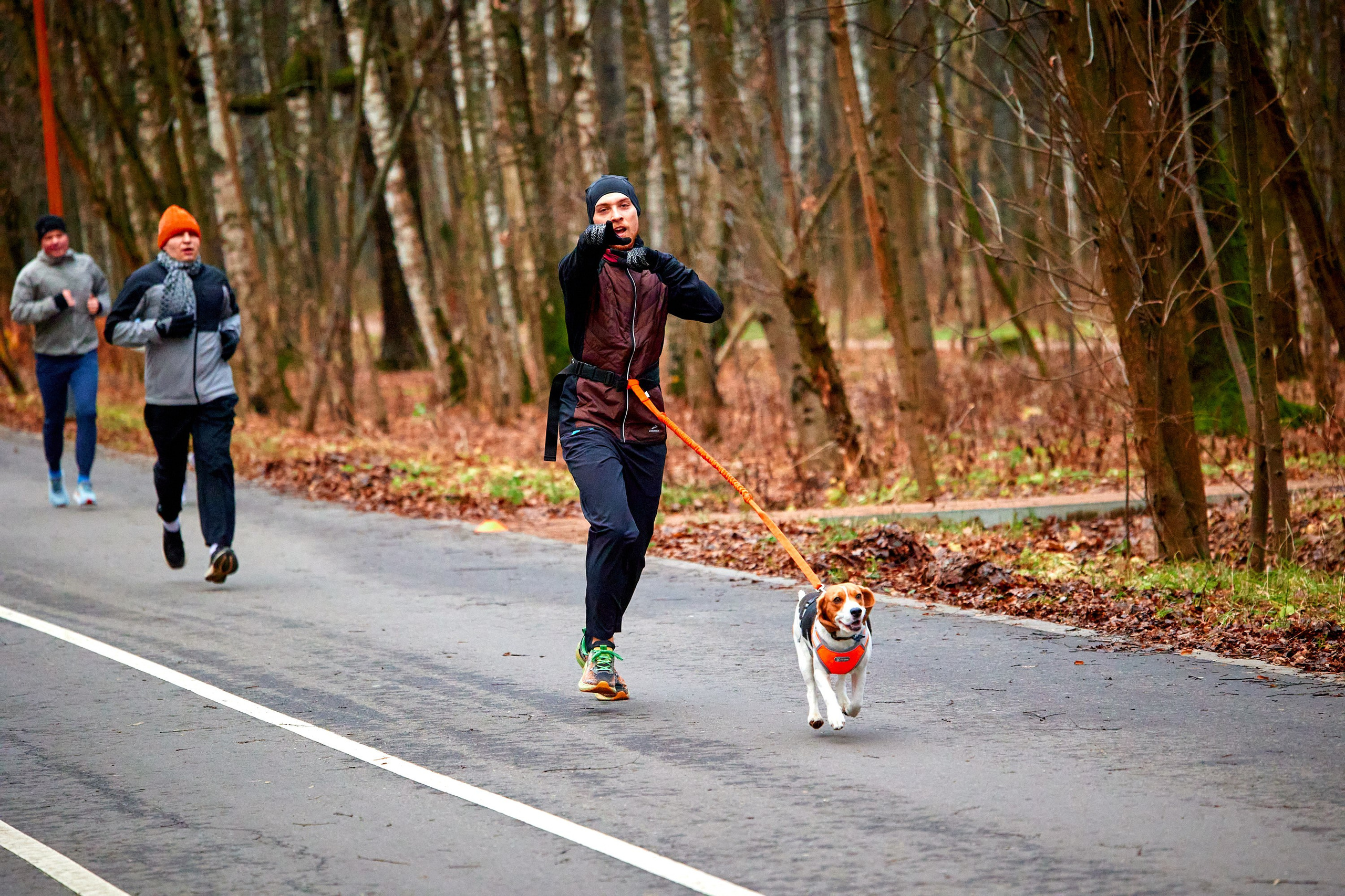 S95 Кусково. Спортивный и репортажный фотограф Андрей Баскаков