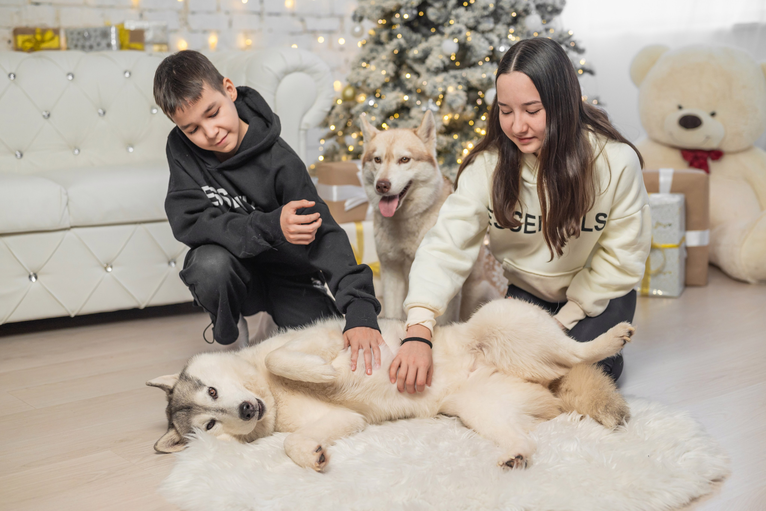 Фотопроект с хаски. Фотограф в городе Салават