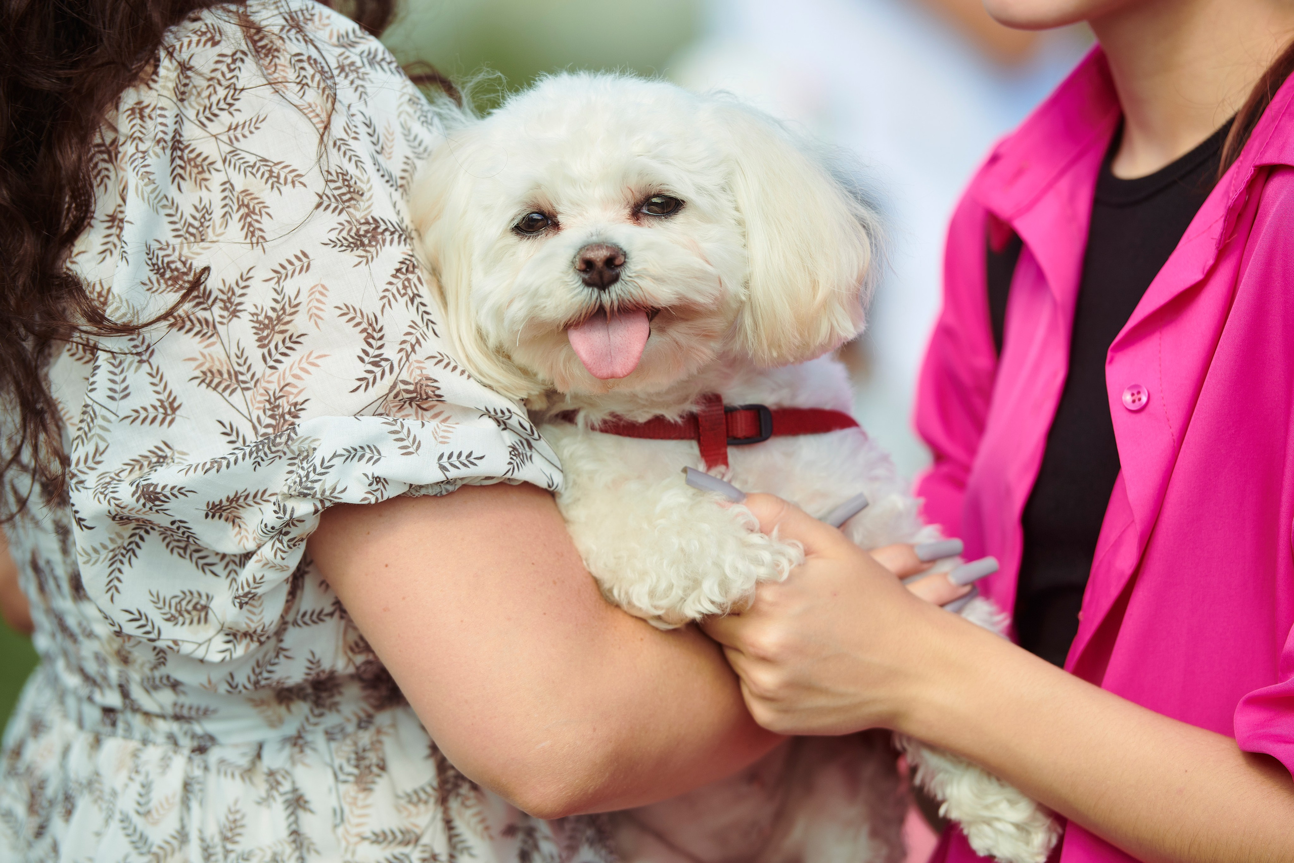 Корпоратив. Фотограф Роман Арыкин Екатеринбург