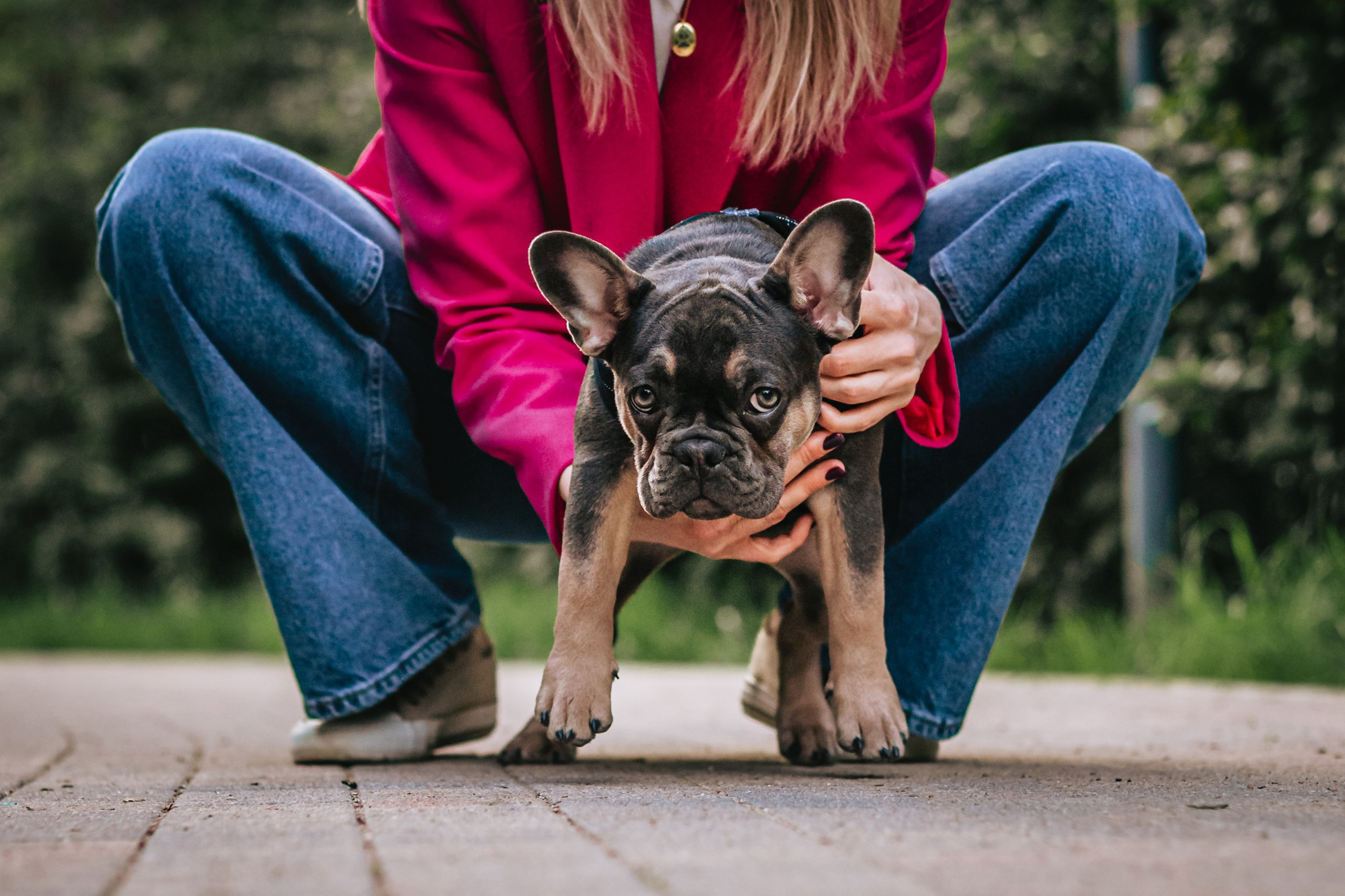 Даша и Мишель. Фотограф-анималист Татьяна Степанова