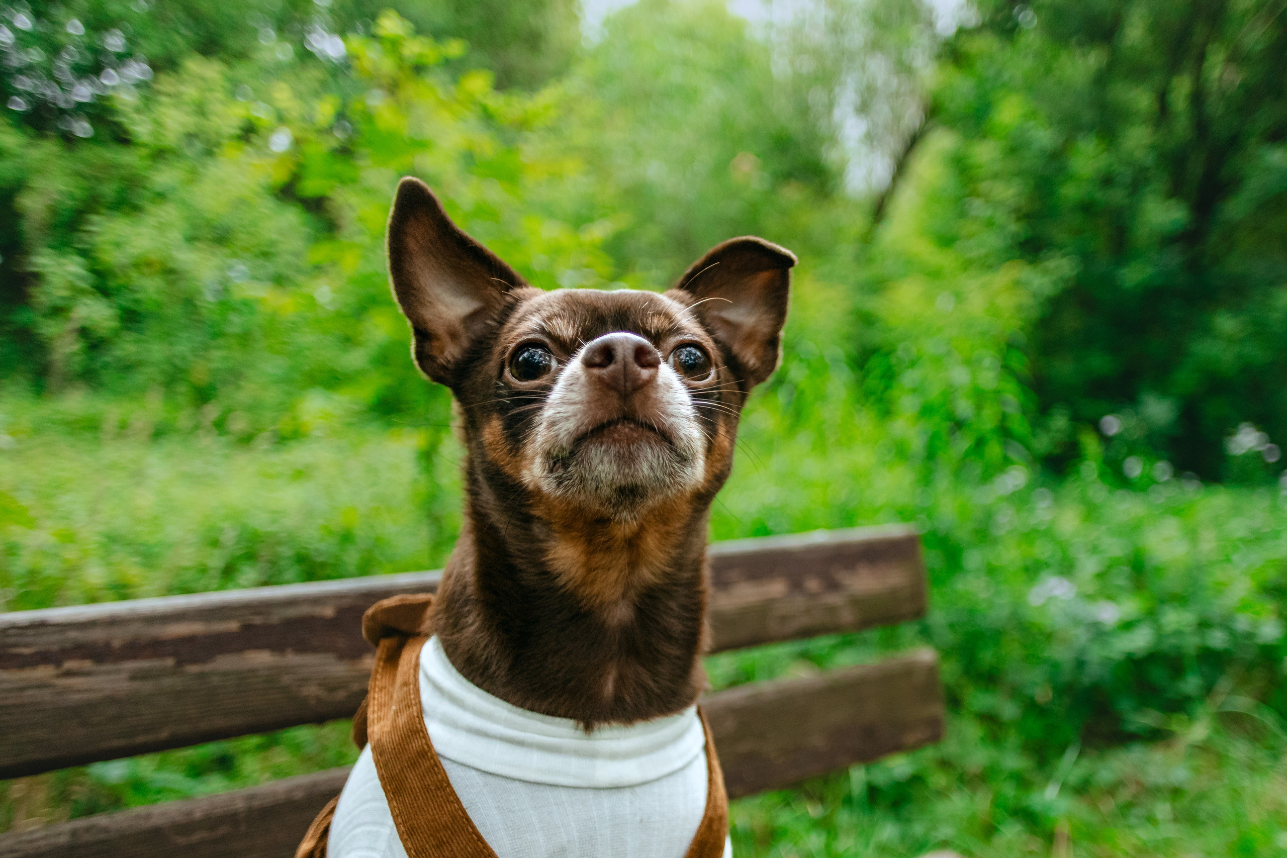 Юля и Леонид. Фотограф-анималист Татьяна Степанова