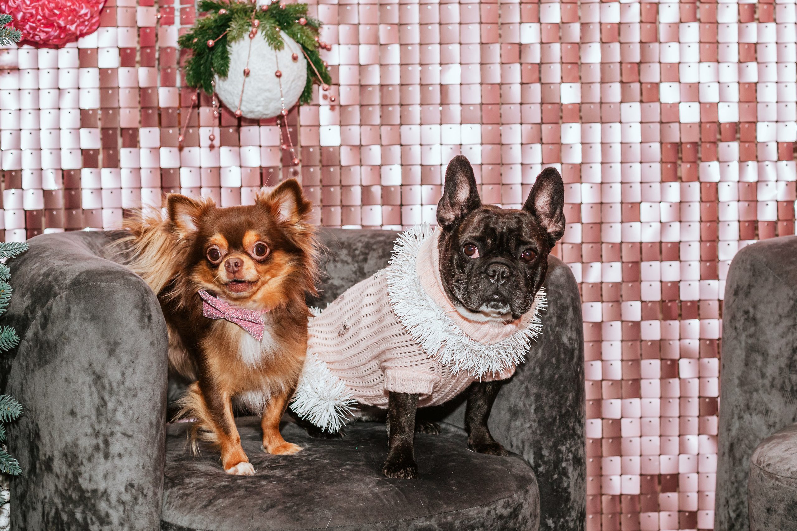 Бульёлка 2024. Фотограф-анималист Татьяна Степанова