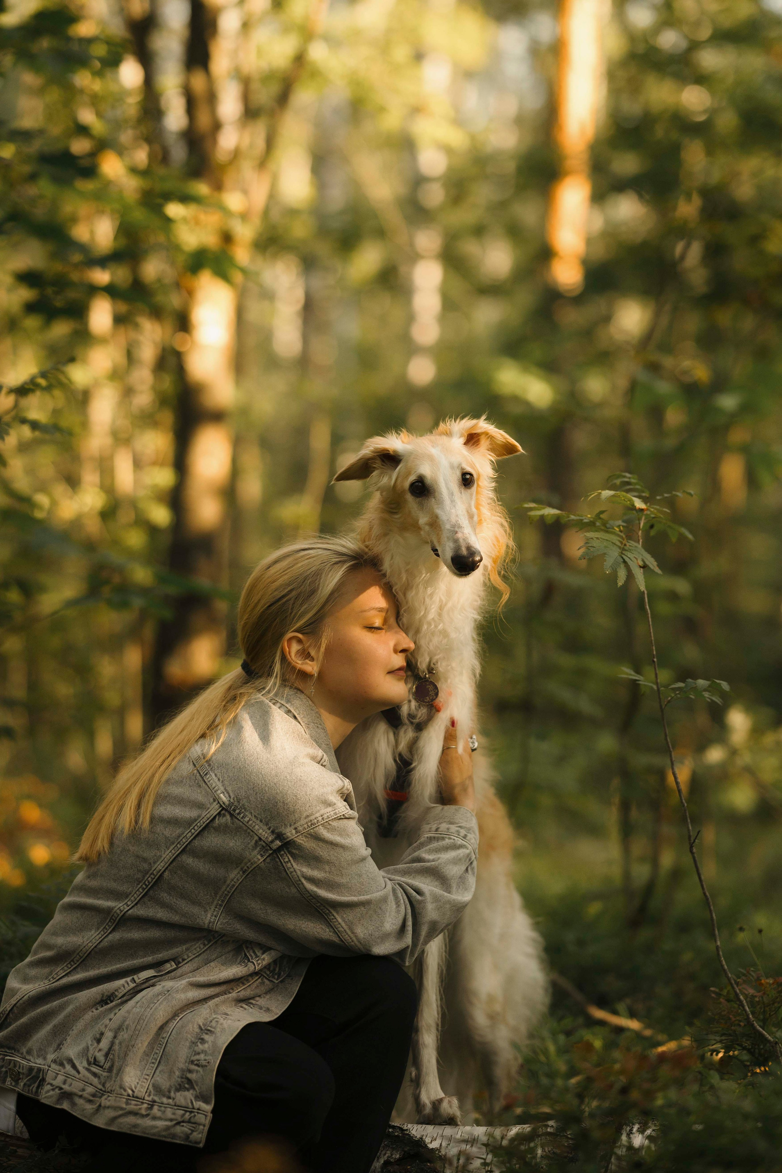 Тайга. Фотограф- анималист Александра Матвеева
