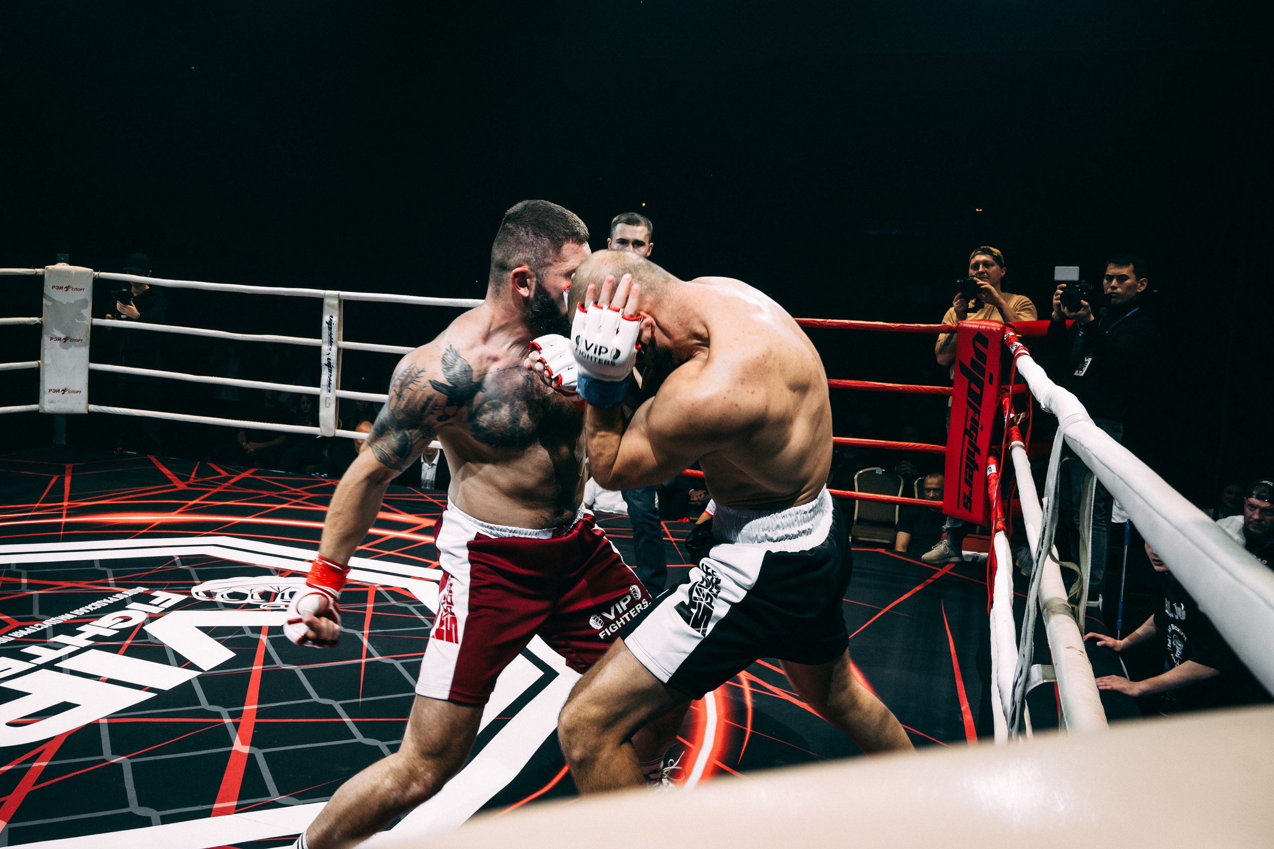 VipFighters vs SFC. Фотограф в Волгограде Марина Черных