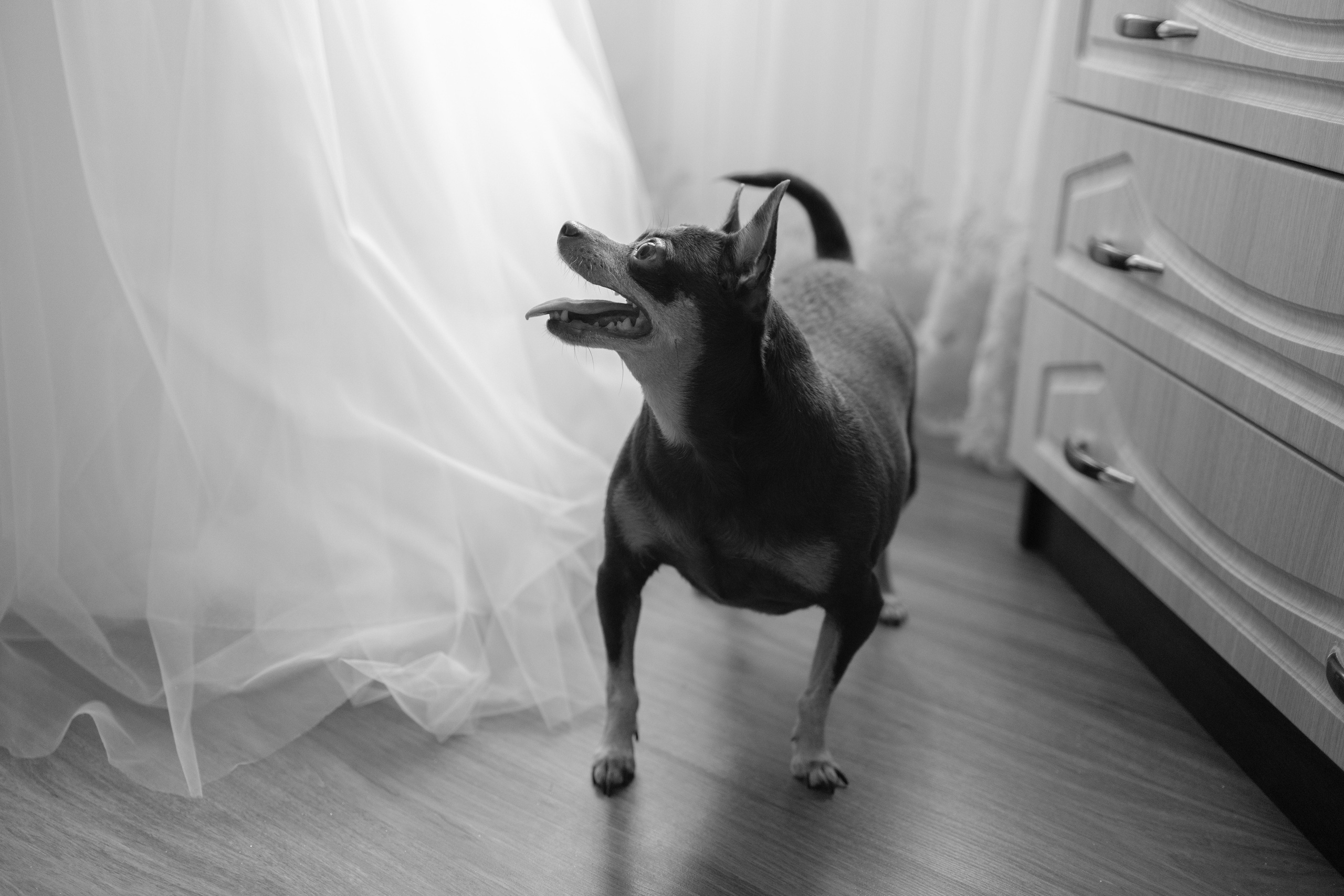 Анна и Александр. Свадебный и семейный фотограф в городе Россошь и Воронежской области