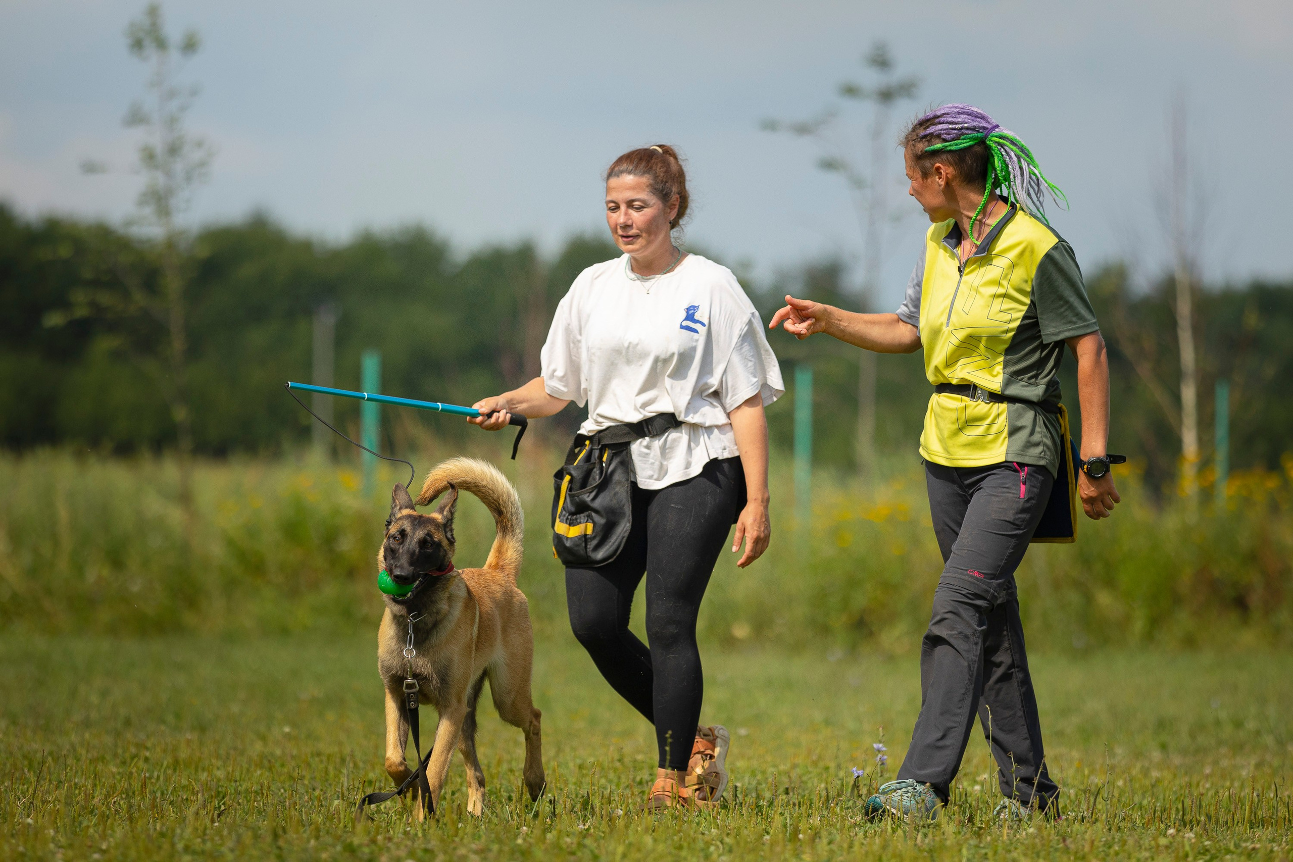 ЗКС. Фотограф анималист, семейный фотограф, фотограф собак Комратова Мария. г. Москва