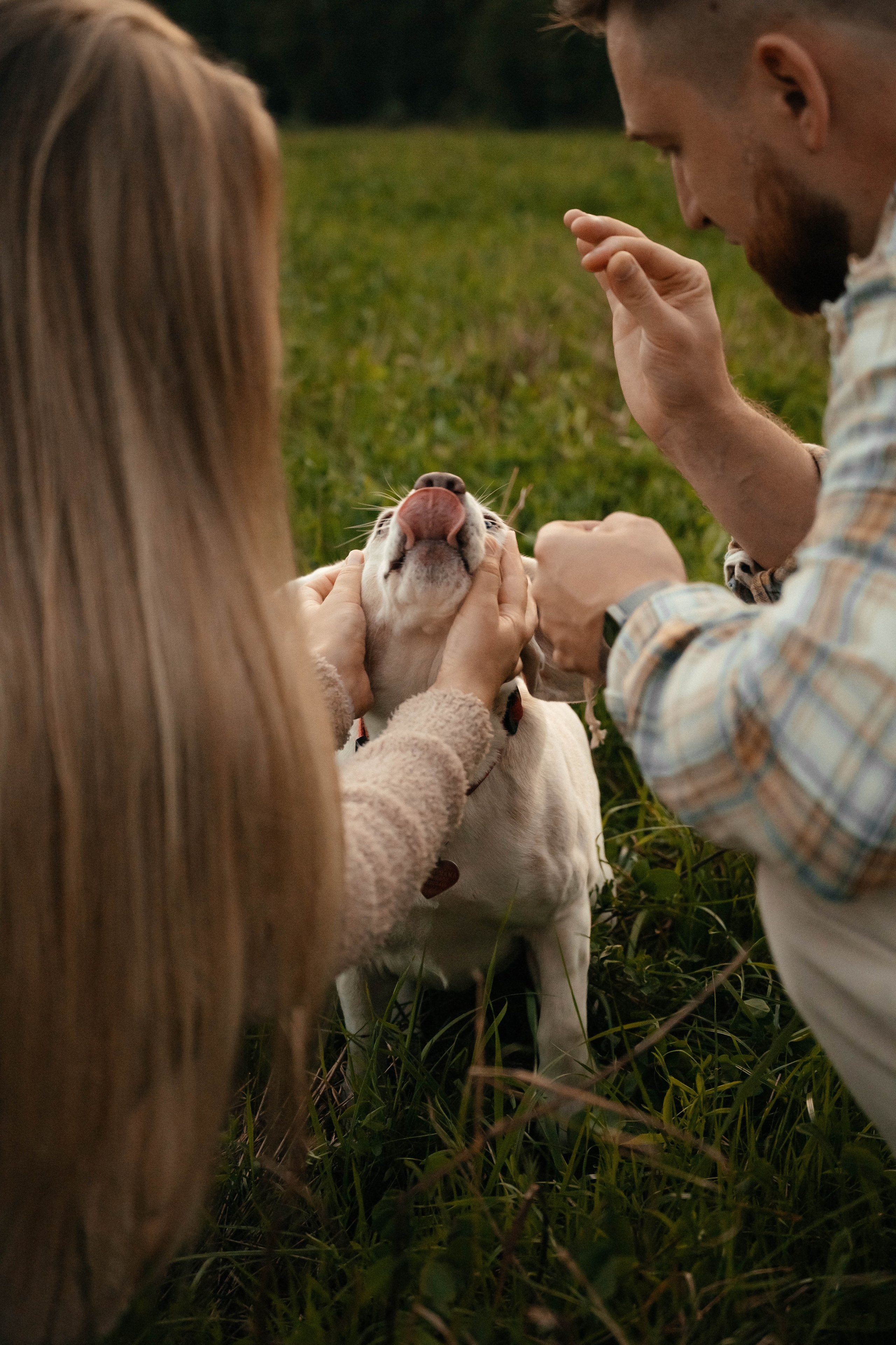 Съёмка love story для Дарьи и Андрея. Свадебный и семейный фотограф г. Ярославль Савинская Анастасия