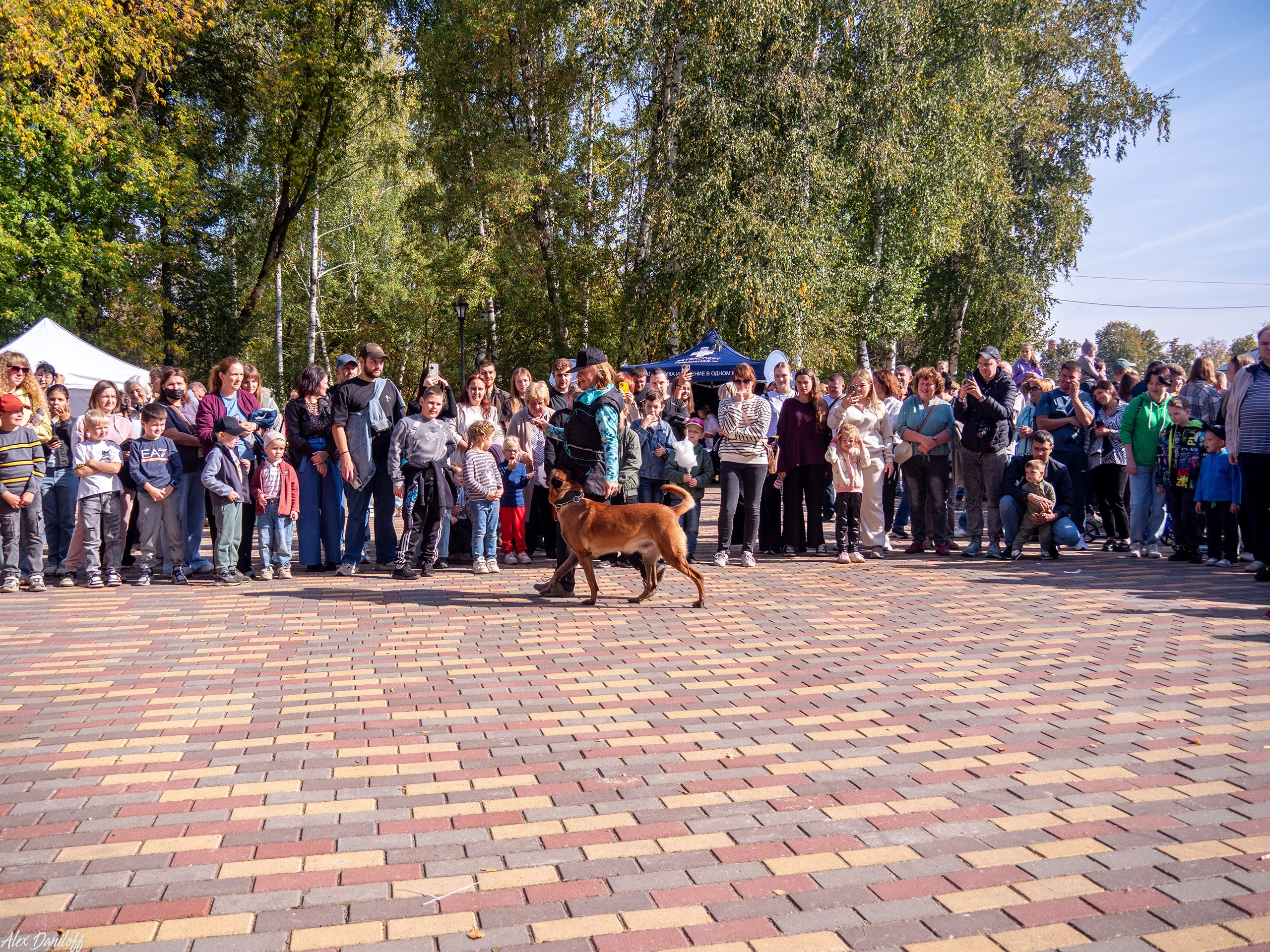 Обнимака 2025. Муром-Инфо. Новости культуры, образования, спорта в городе Муром