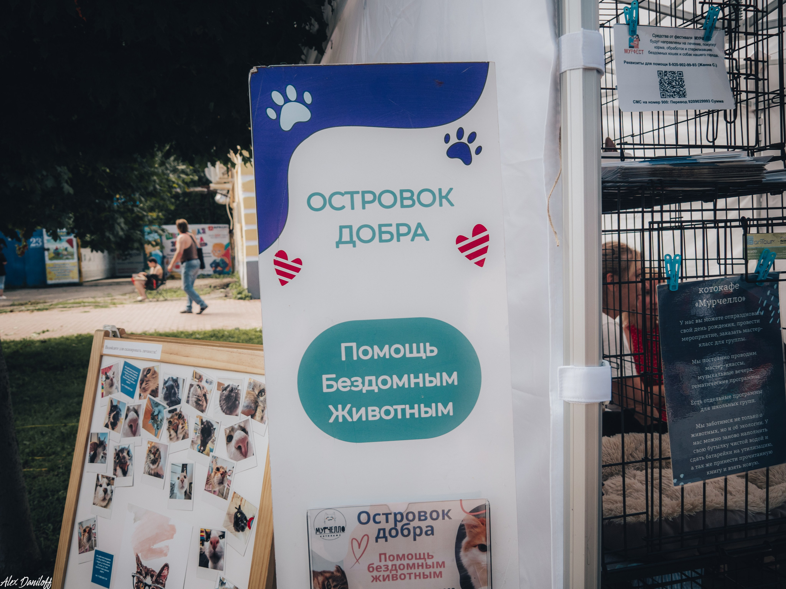 Мурфест 2025. Муром-Инфо. Новости культуры, образования, спорта в городе Муром