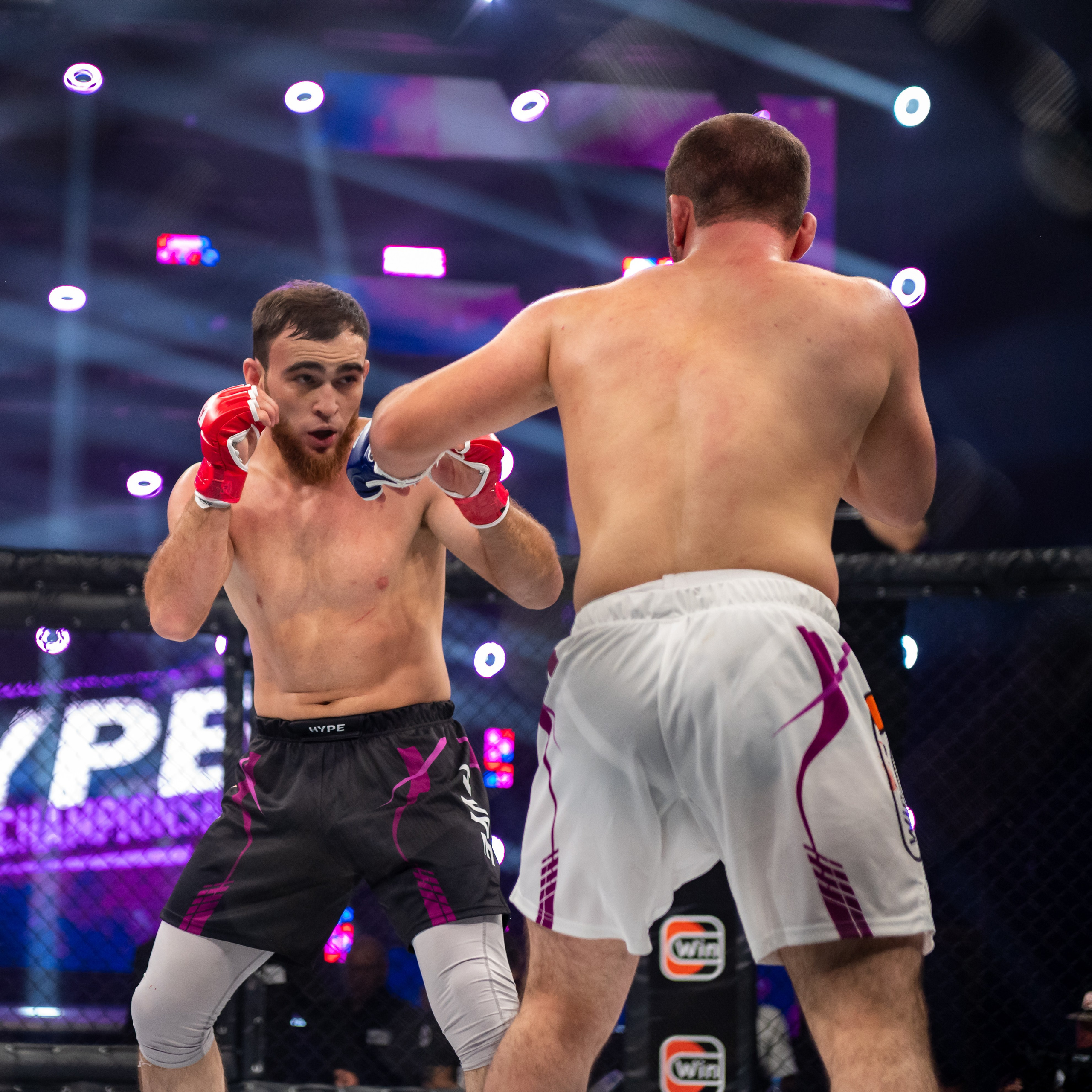 Бои. Репортажный фотограф в Красной Поляне и Сочи Павлюченко Екатерина