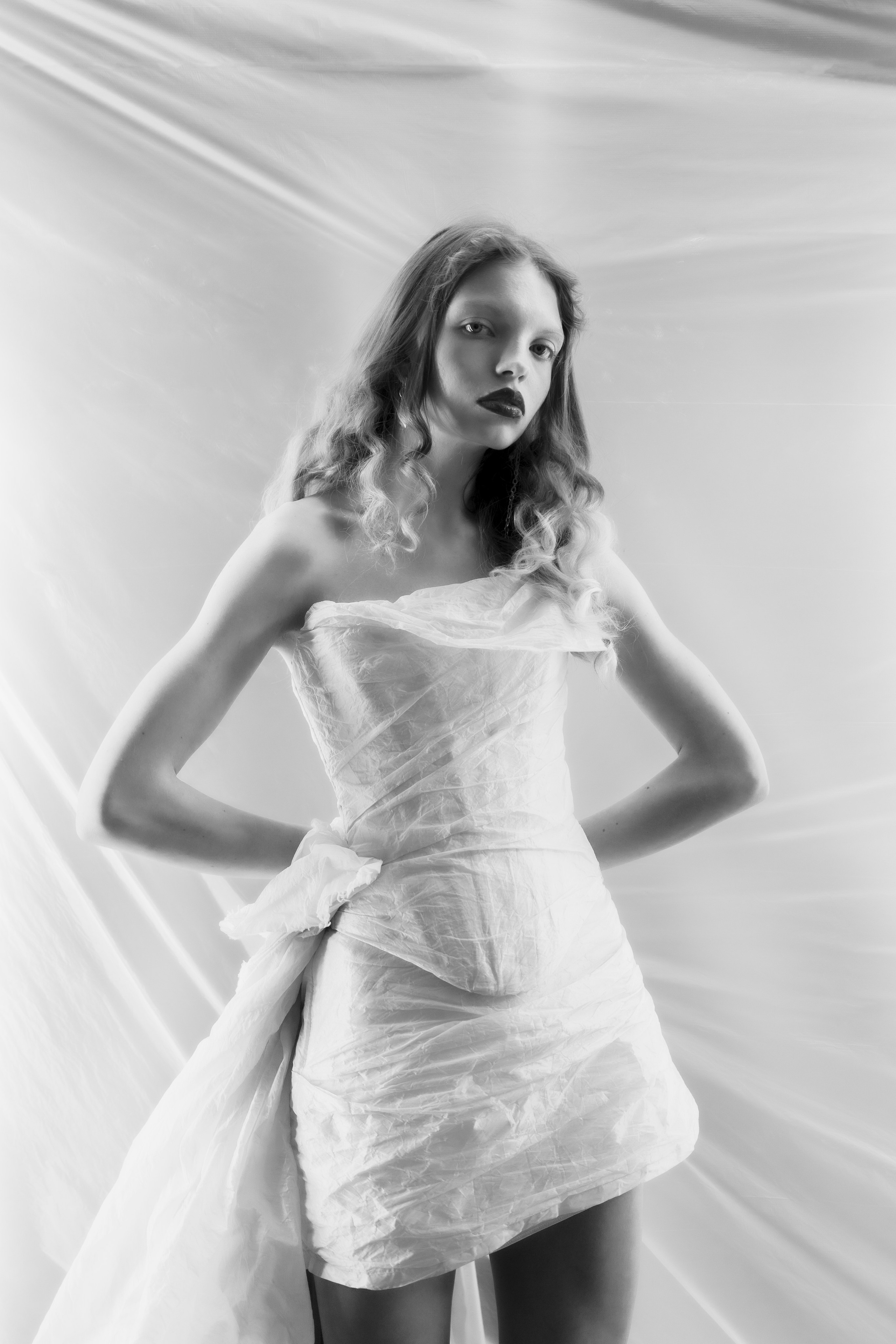 Студийная фотосъёмка. Photomantis