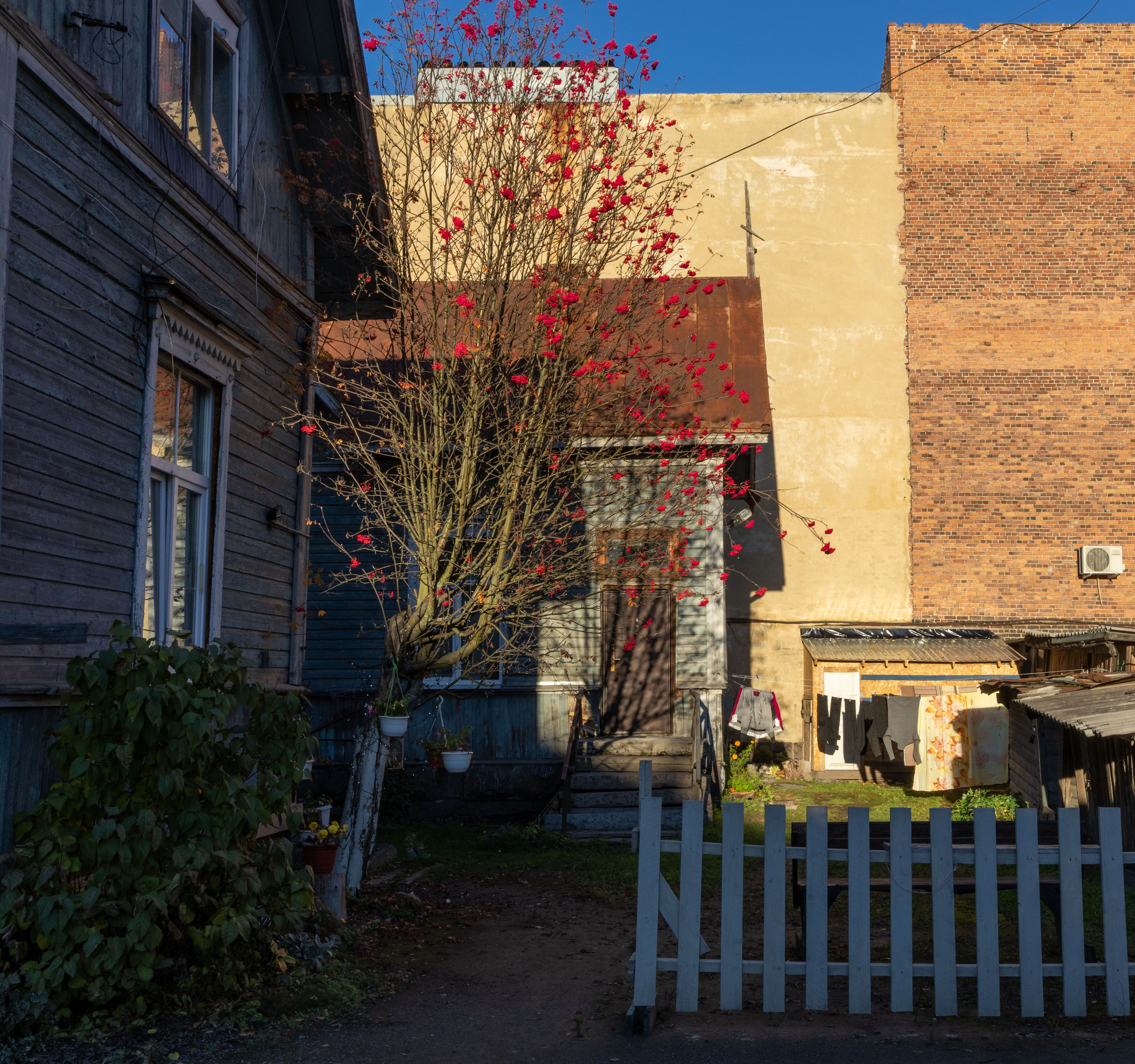 Природа Карелии октябрь 2025. Портретный и семейный фотограф Санкт-Петербург