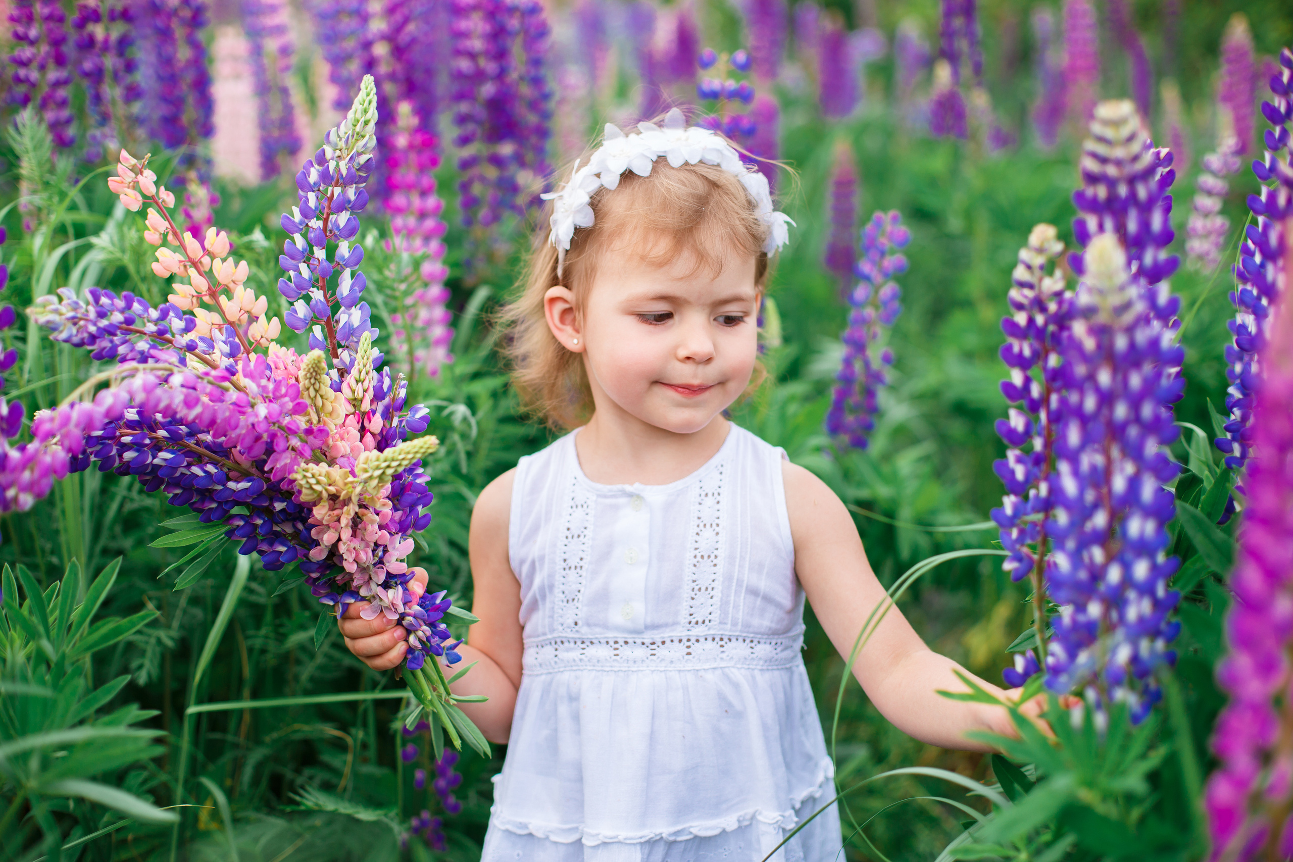 Люпины, клеверное поле. Детский и семейный фотограф в Пензе Лена бешенова
