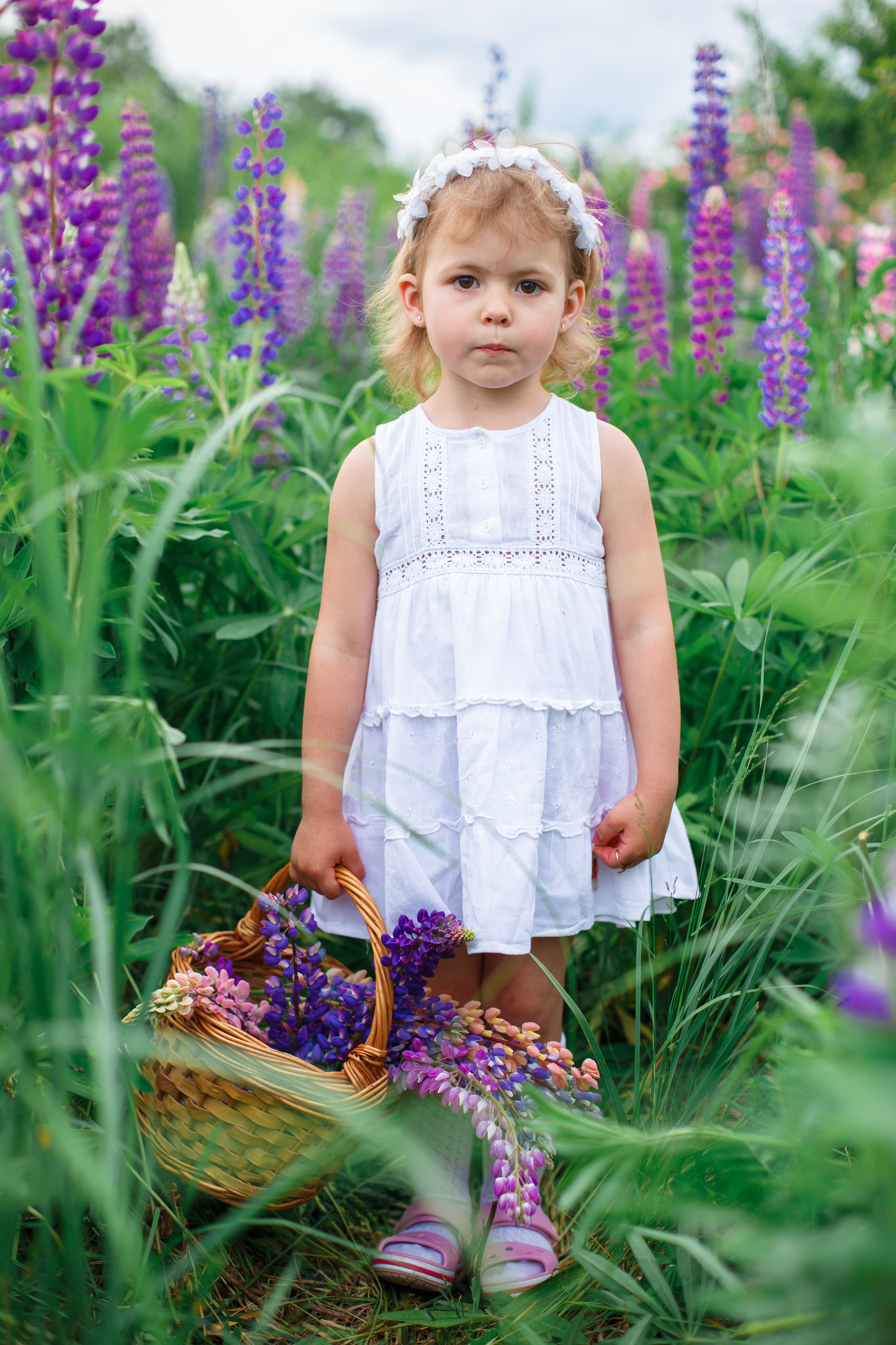 Люпины, клеверное поле. Детский и семейный фотограф в Пензе Лена бешенова