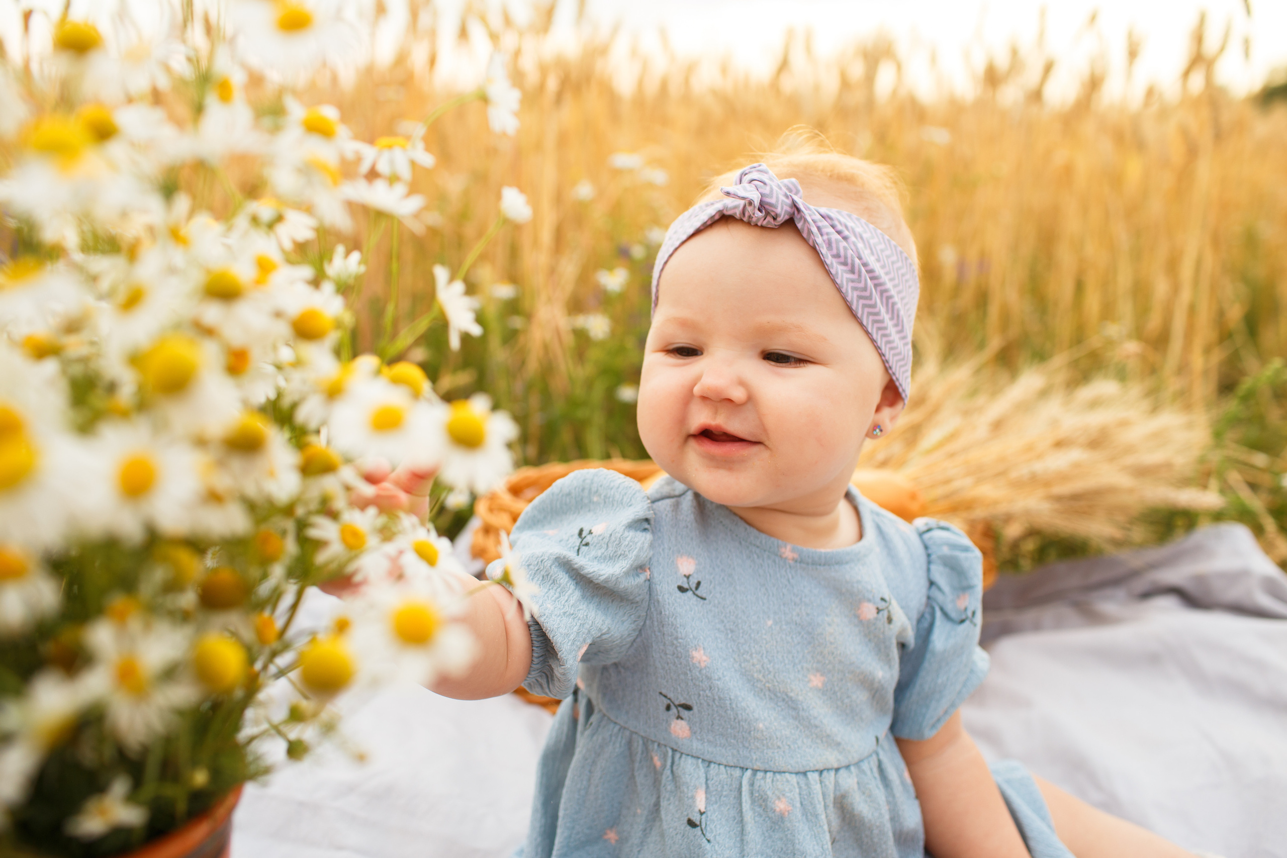 Пшеничное поле. Детский и семейный фотограф в Пензе Лена бешенова