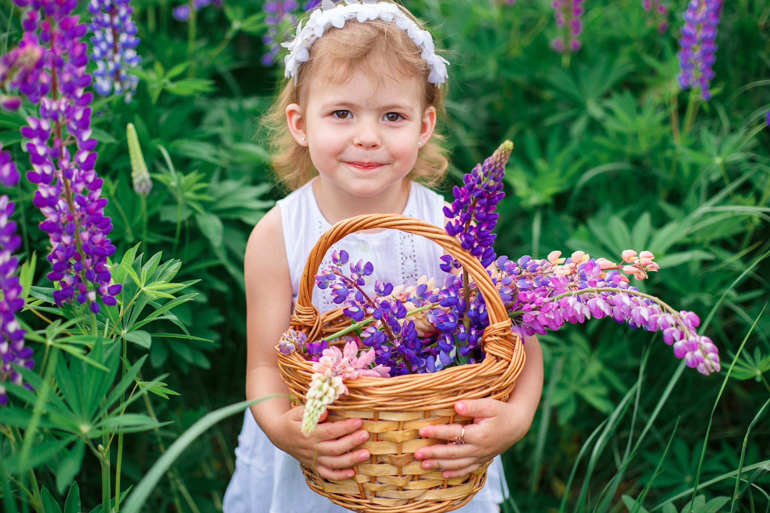 Люпины, клеверное поле. Детский и семейный фотограф в Пензе Лена бешенова
