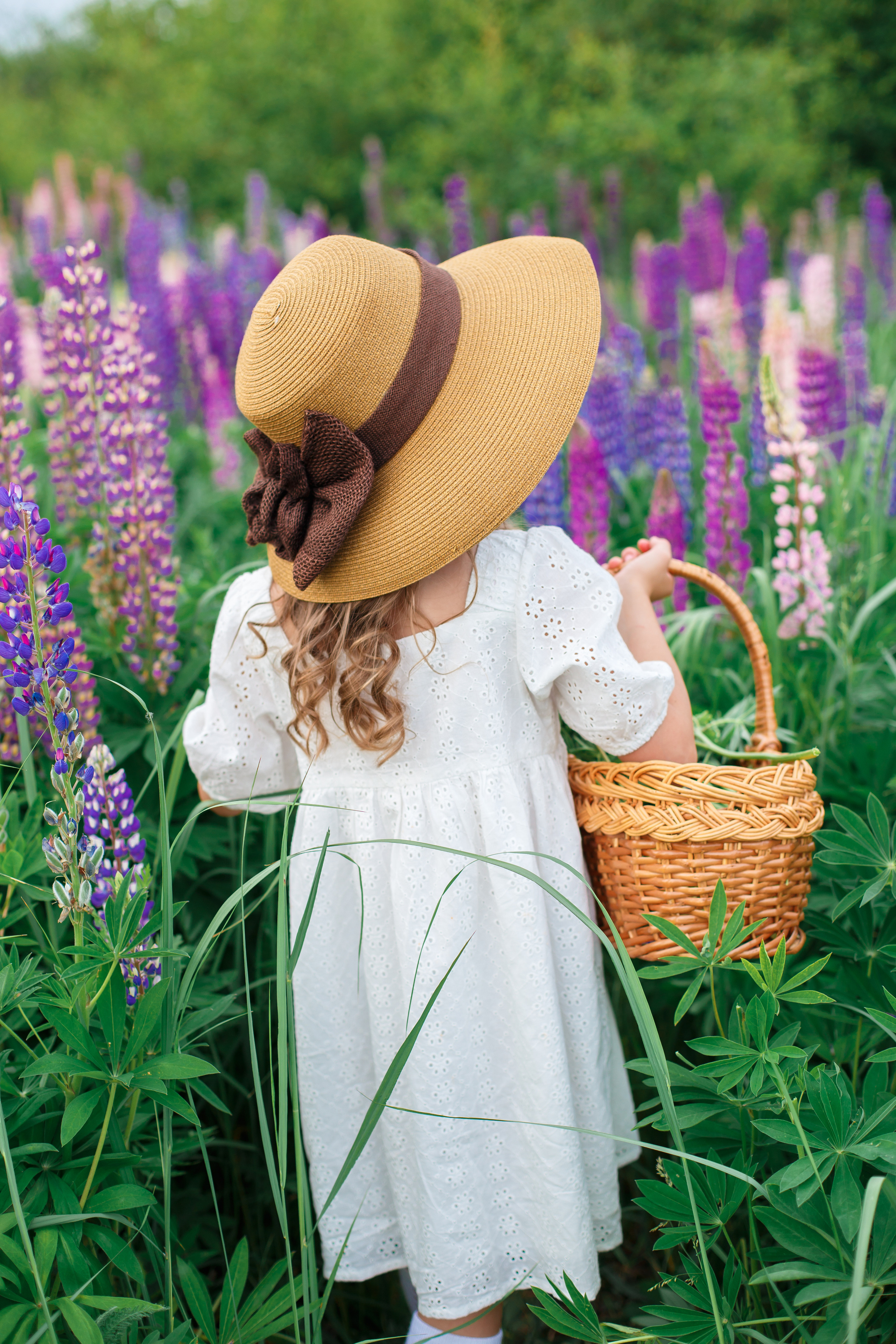 Люпины, клеверное поле. Детский и семейный фотограф в Пензе Лена бешенова