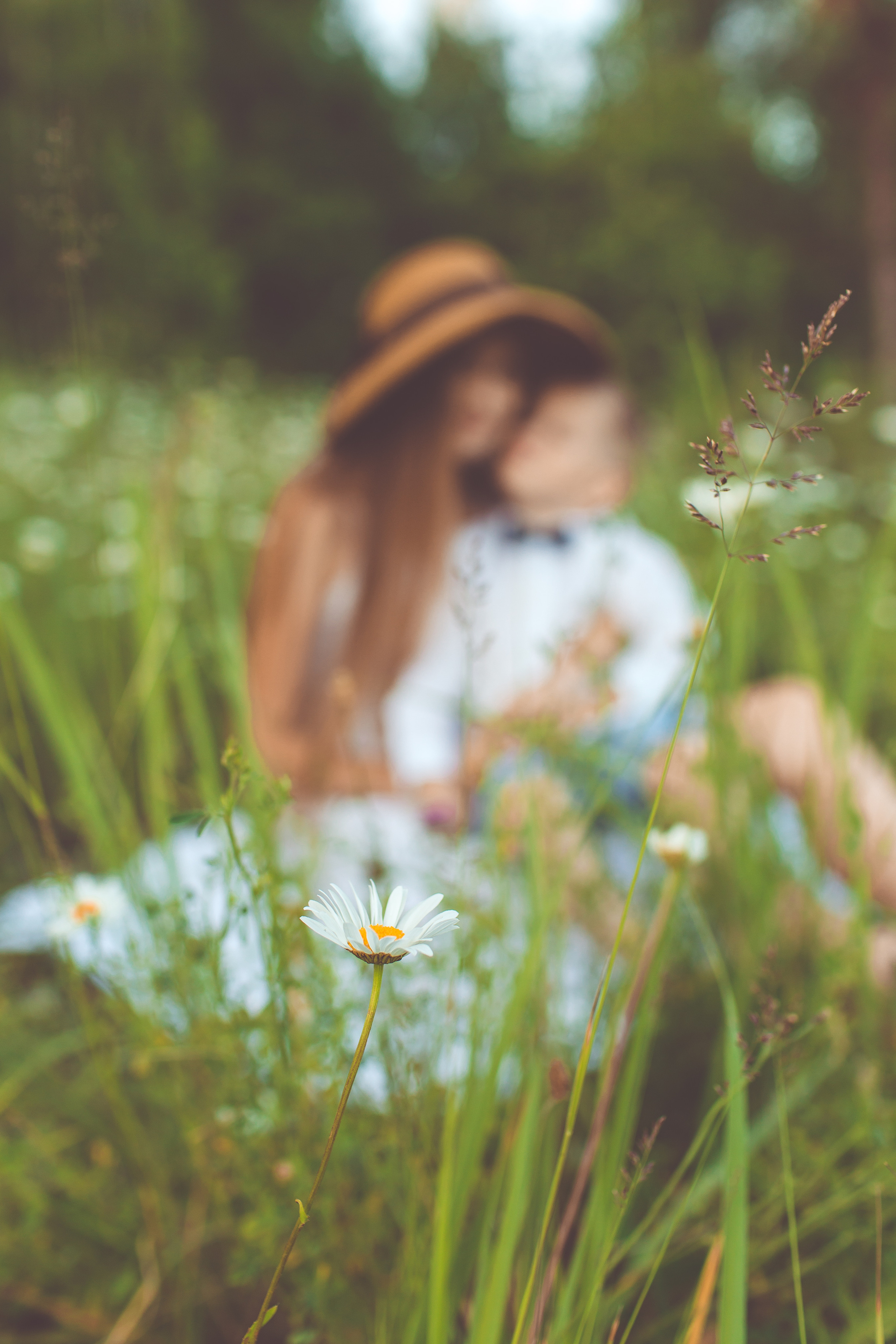 Фотосессии в ромашках. Детский и семейный фотограф в Пензе Лена бешенова