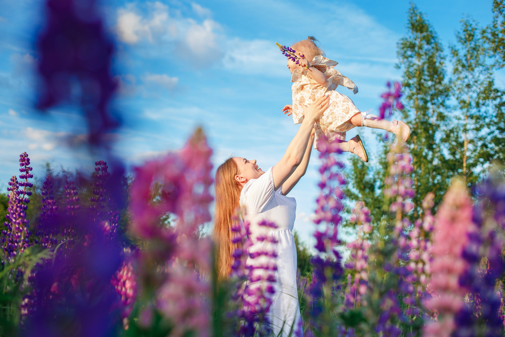 Люпины, клеверное поле. Детский и семейный фотограф в Пензе Лена бешенова
