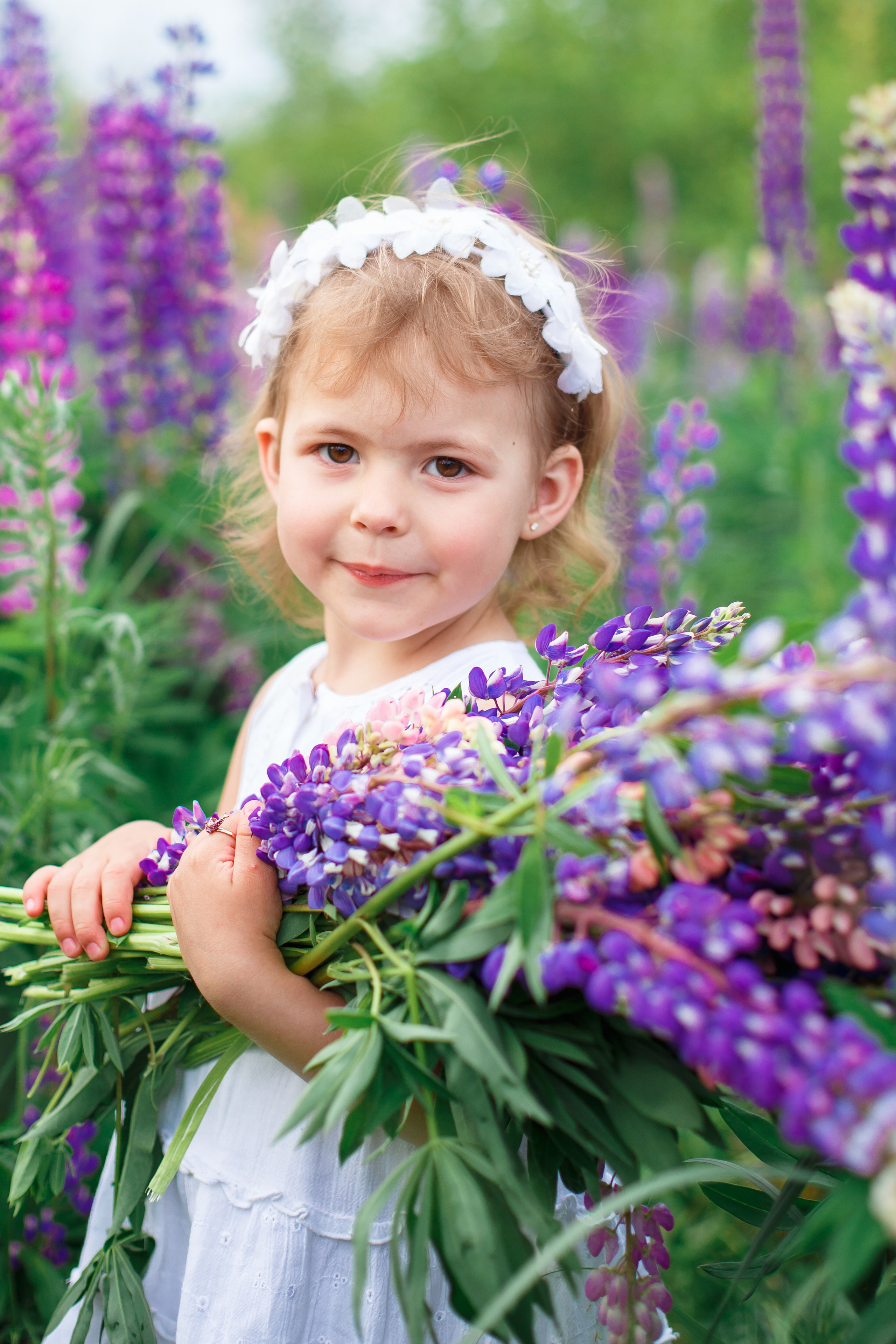 Люпины, клеверное поле. Детский и семейный фотограф в Пензе Лена бешенова