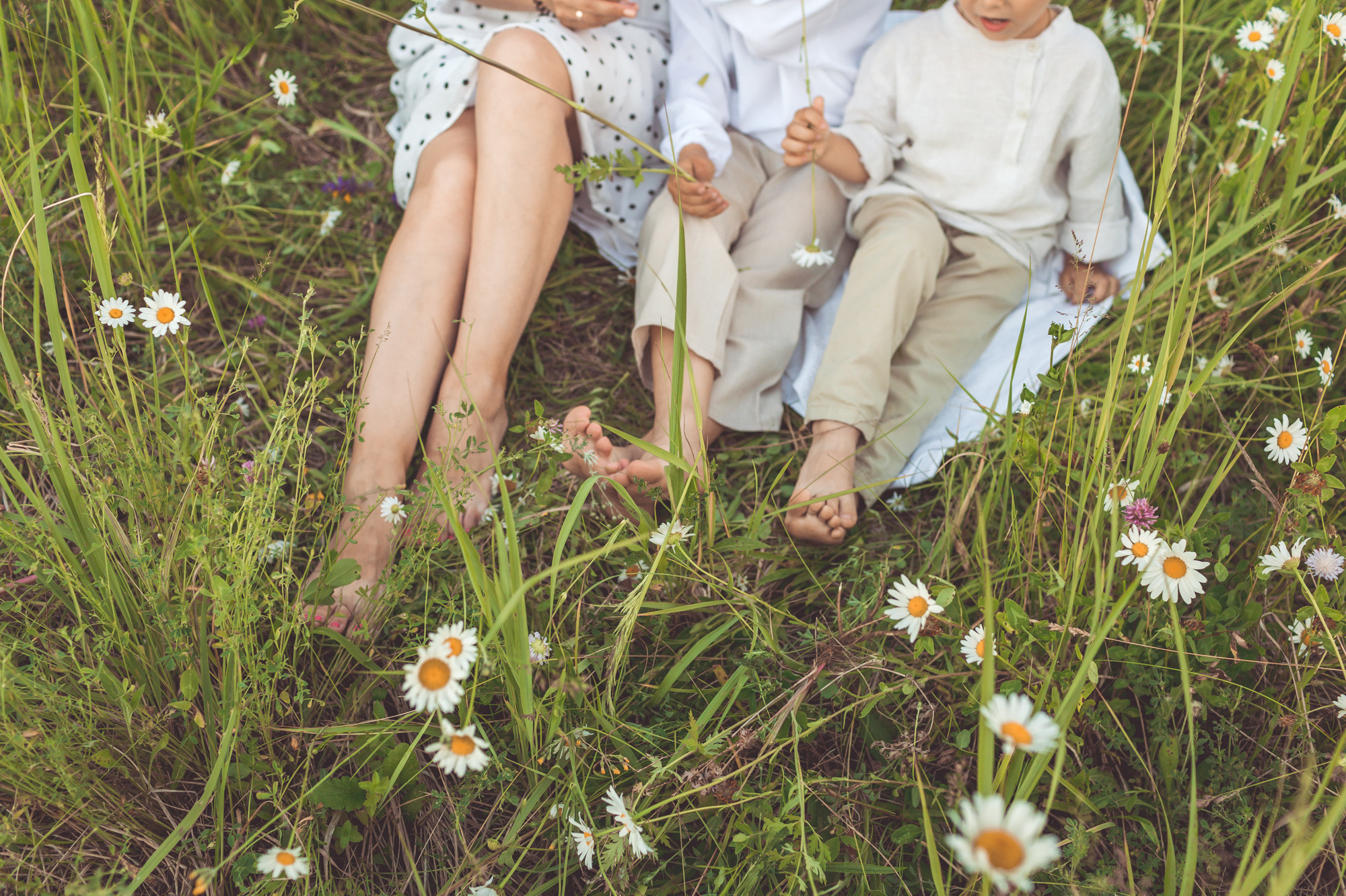 Фотосессии в ромашках. Детский и семейный фотограф в Пензе Лена бешенова