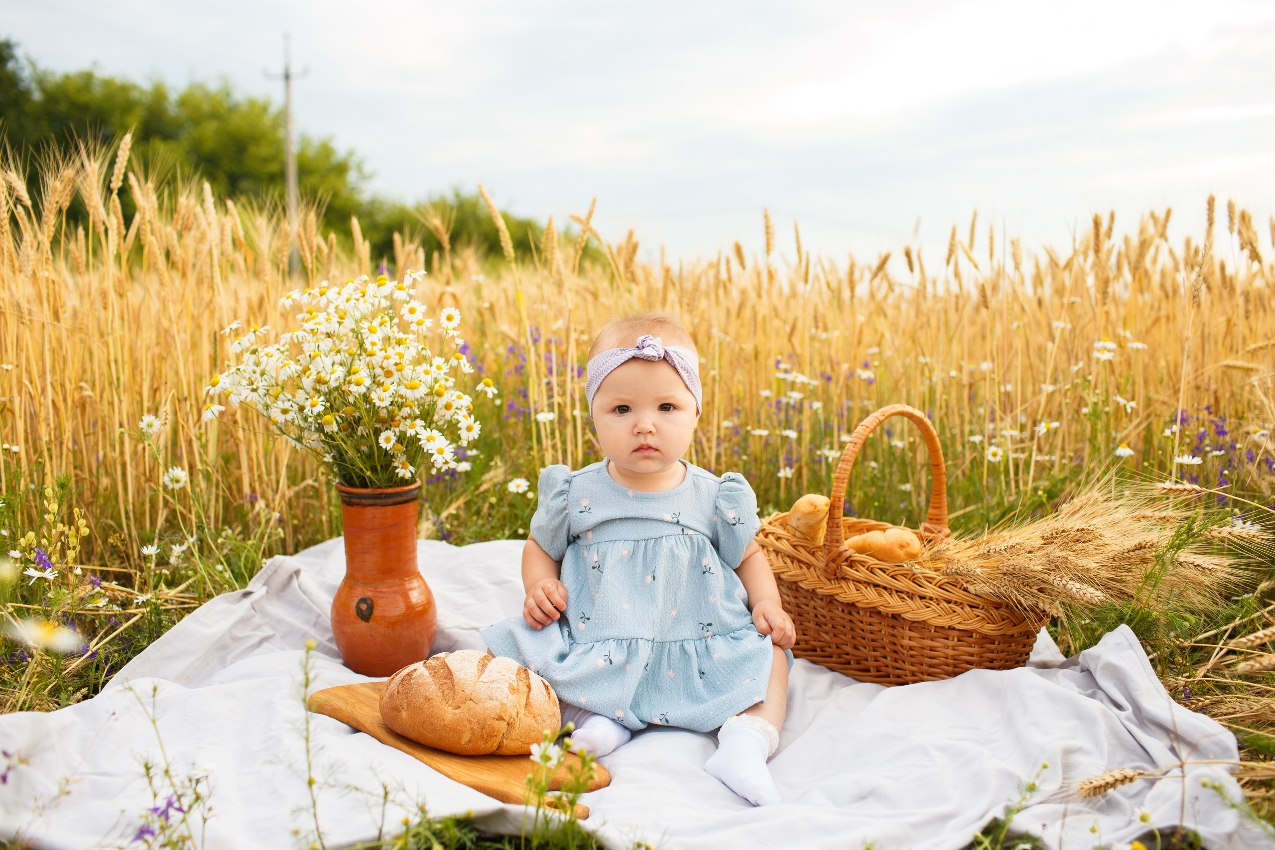 Пшеничное поле. Детский и семейный фотограф в Пензе Лена бешенова