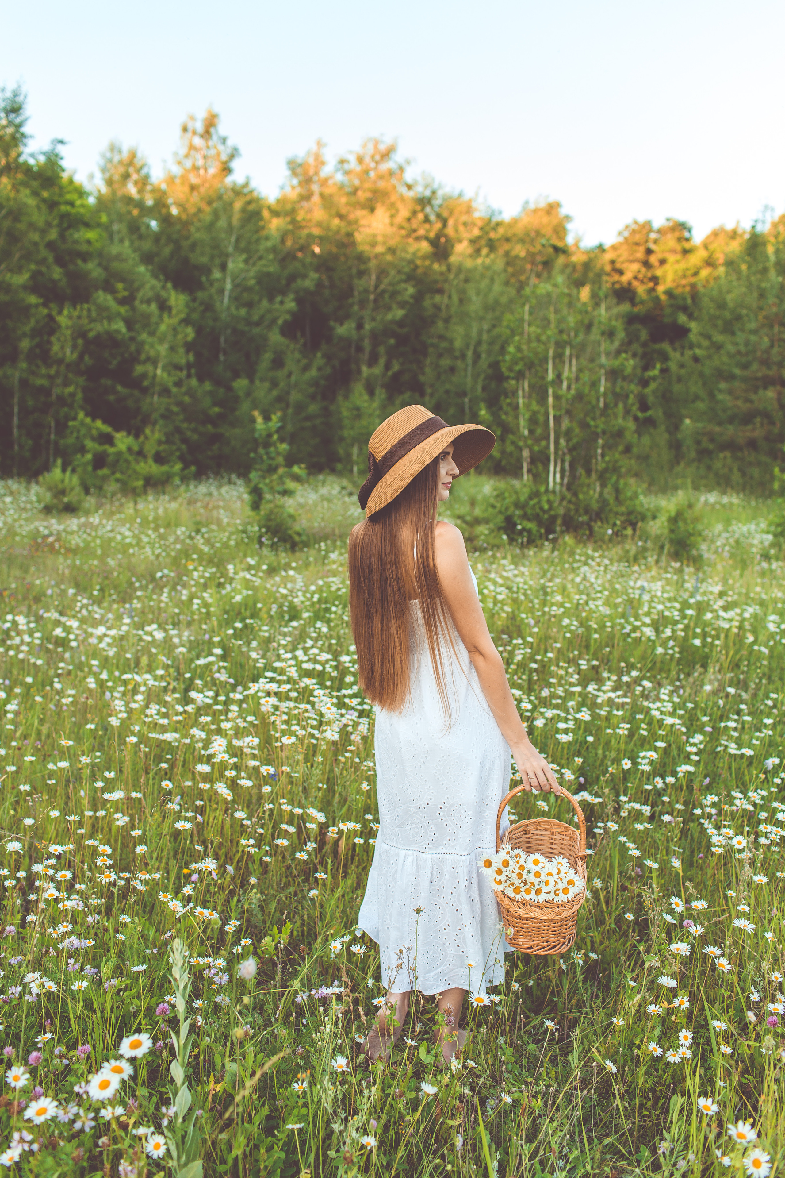 Фотосессии в ромашках. Детский и семейный фотограф в Пензе Лена бешенова