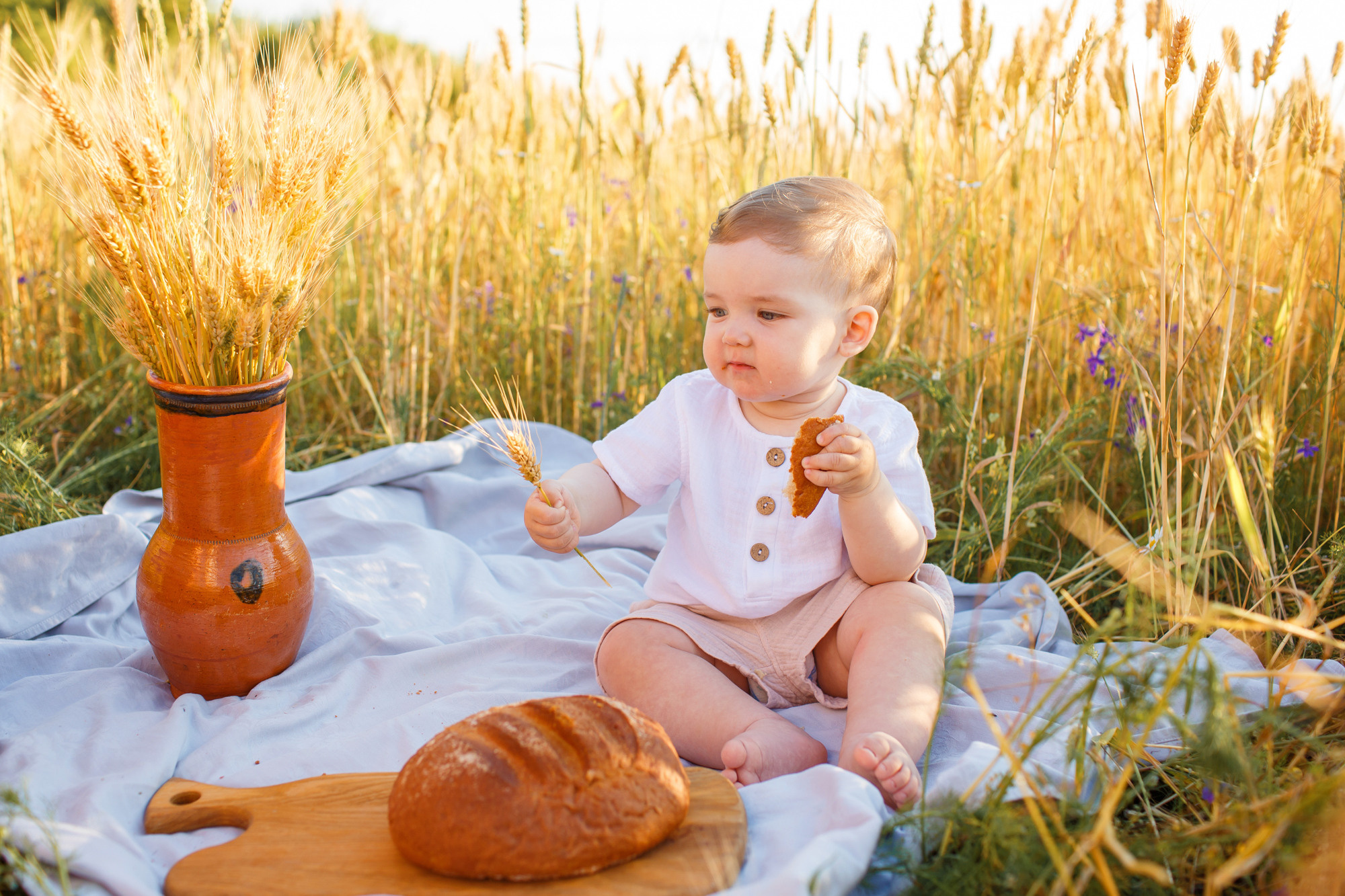 Пшеничное поле. Детский и семейный фотограф в Пензе Лена бешенова