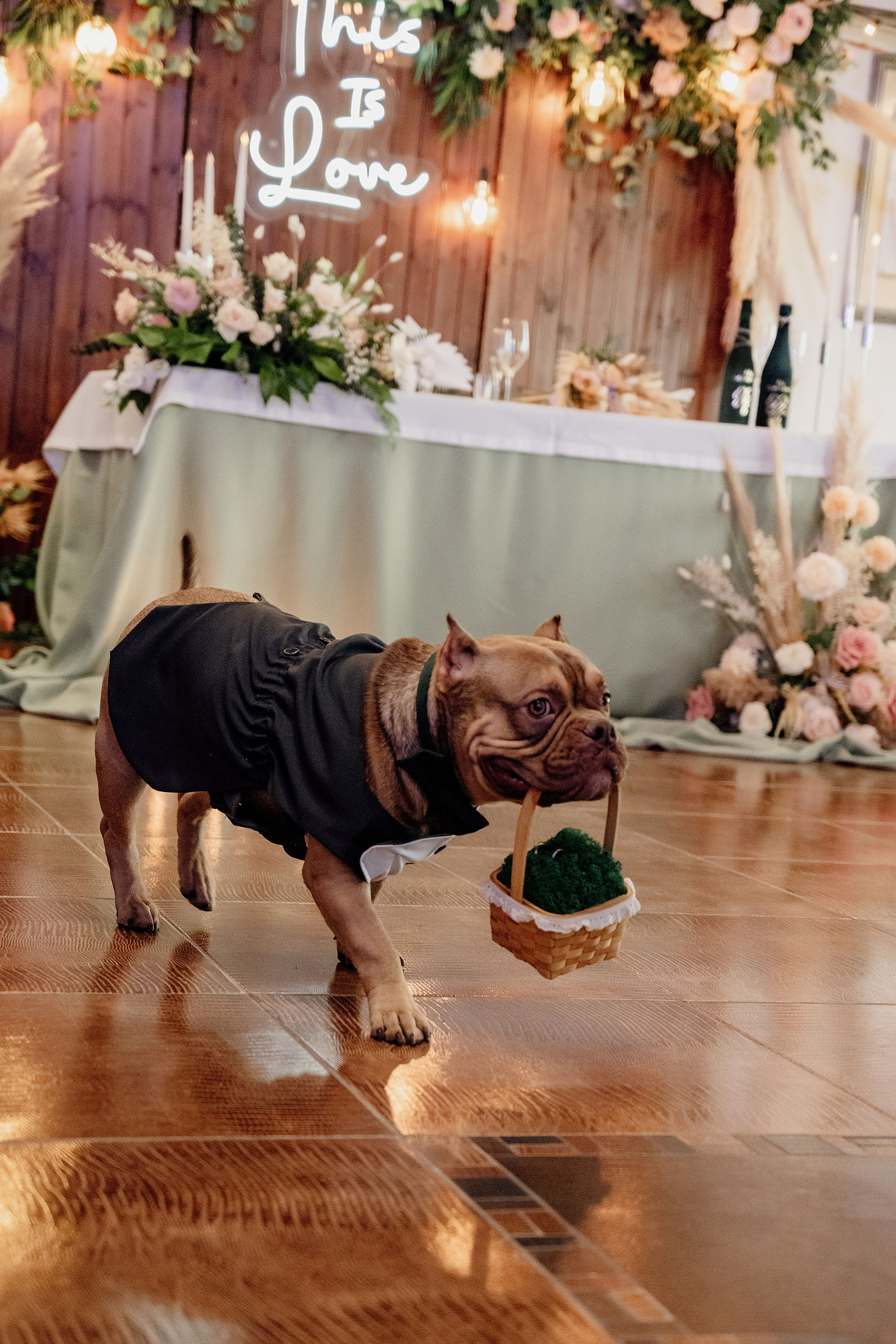 Вячеслав и Элени. Алёна Наумова — профессиональный организатор свадеб и мероприятий в Краснодарском крае и на побережье