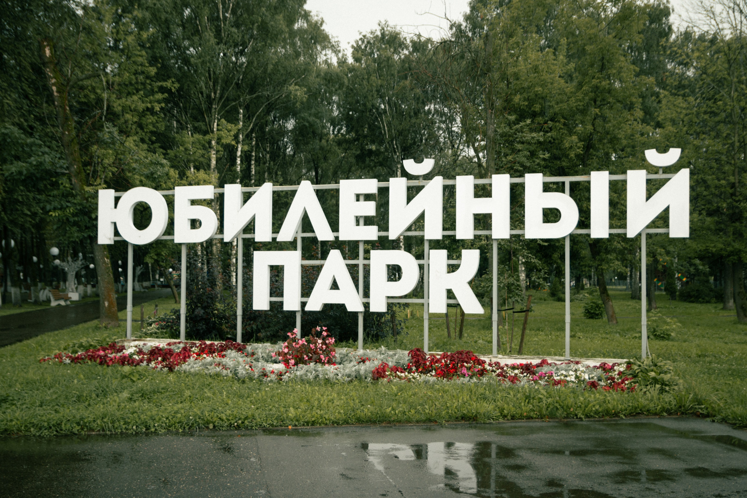 ЭкоФест 2024. Фотограф в Ярославле Никита Зайцев