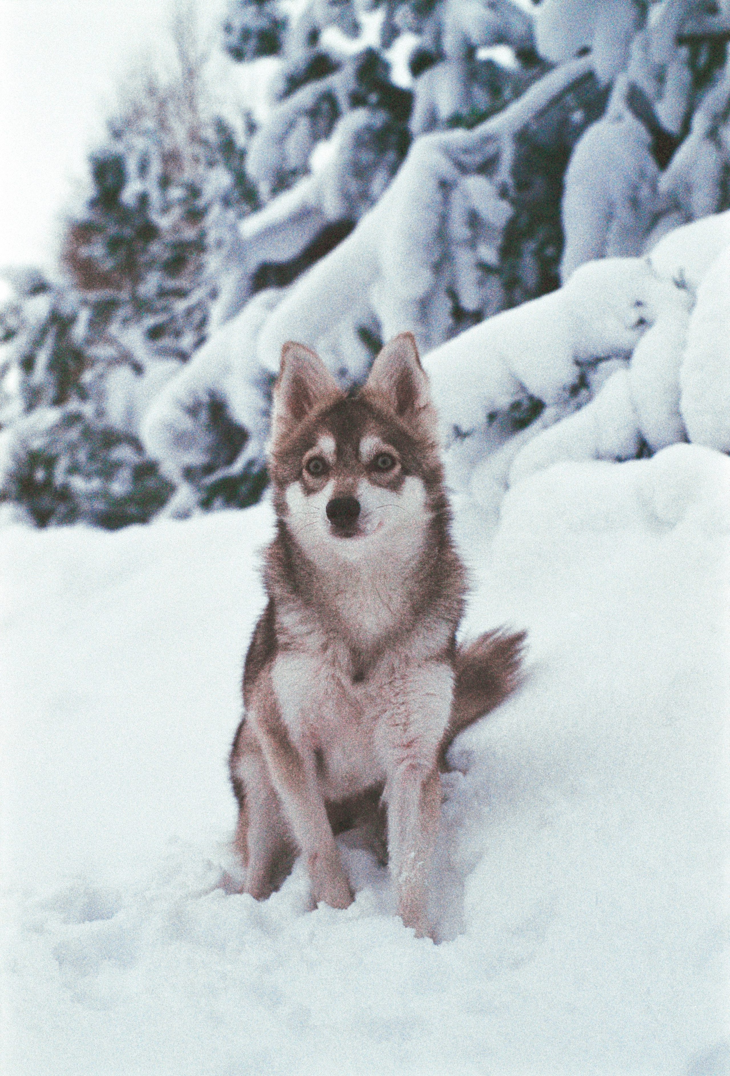 V2. Stylist and film photographer Anastasia Shlokova