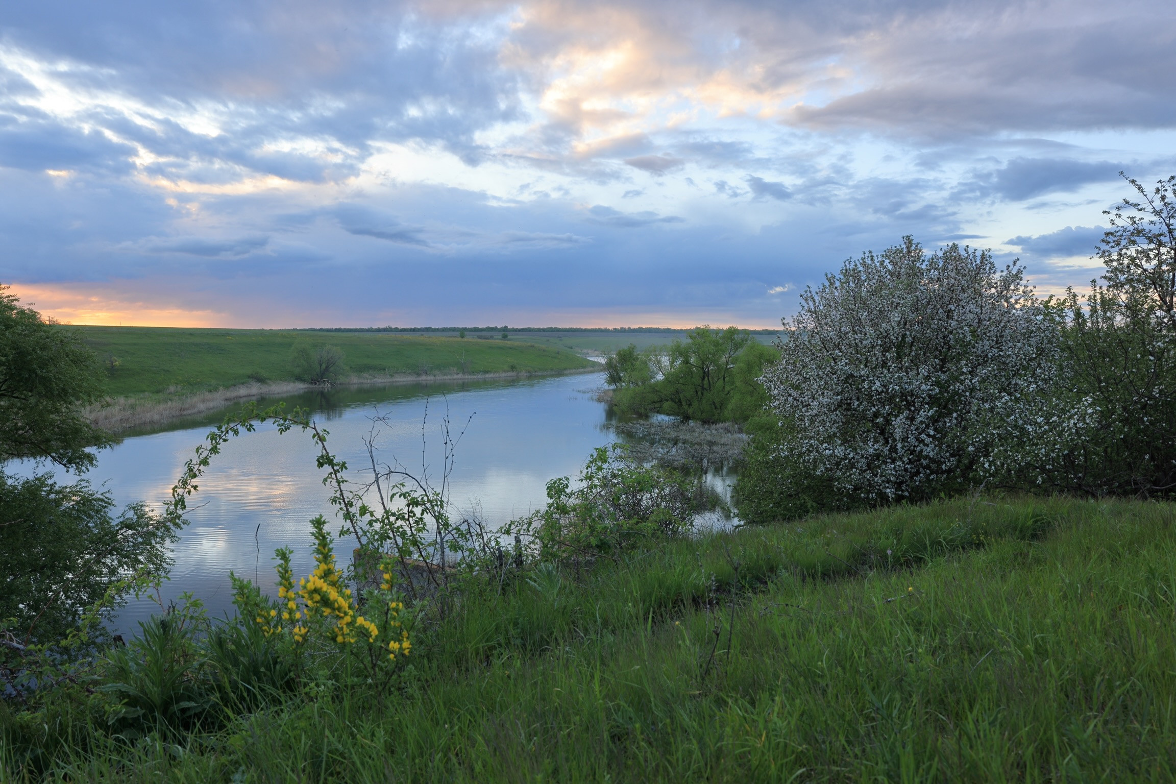 Весенние красоты Воронежской области