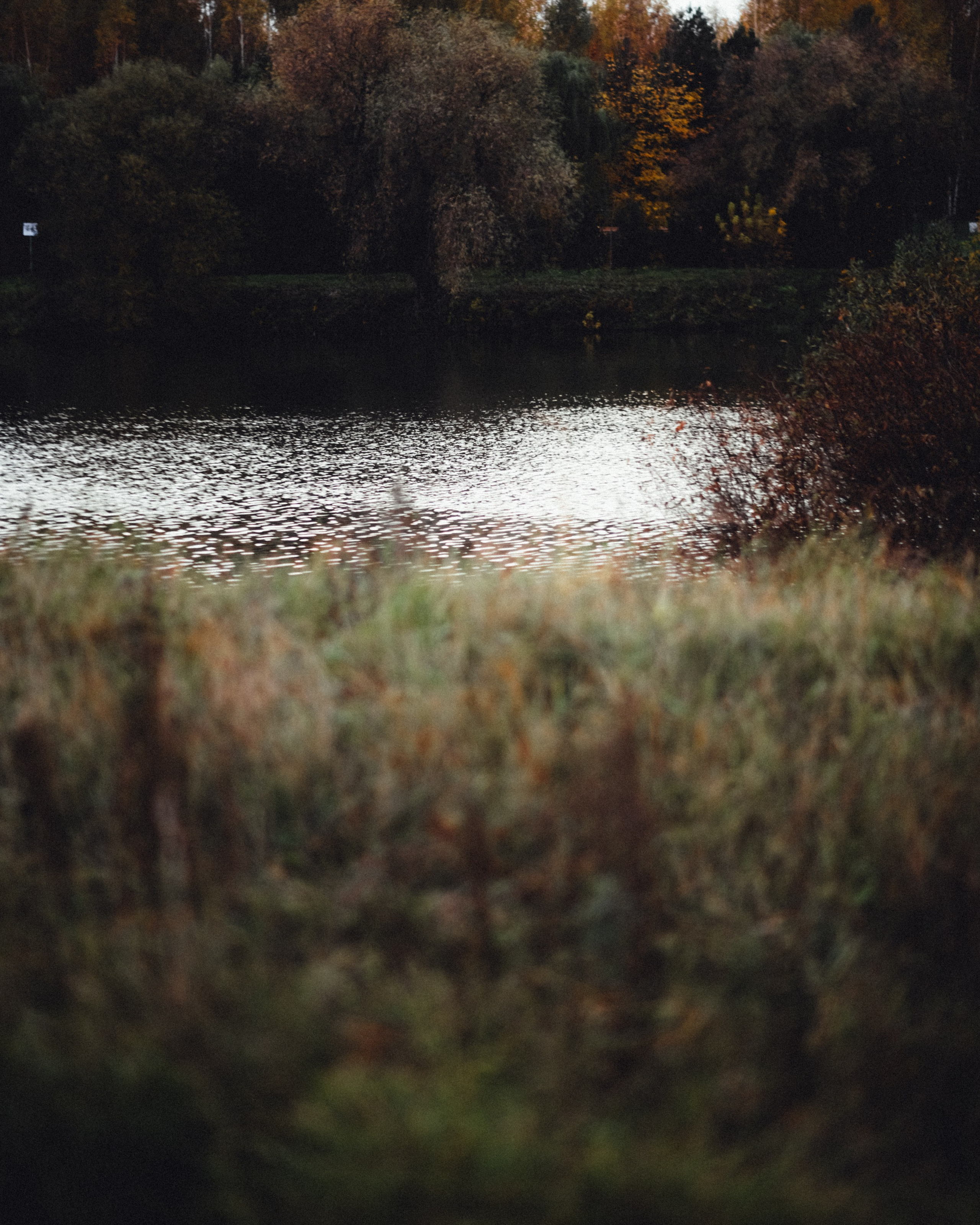 Фотосессия в Ильинском