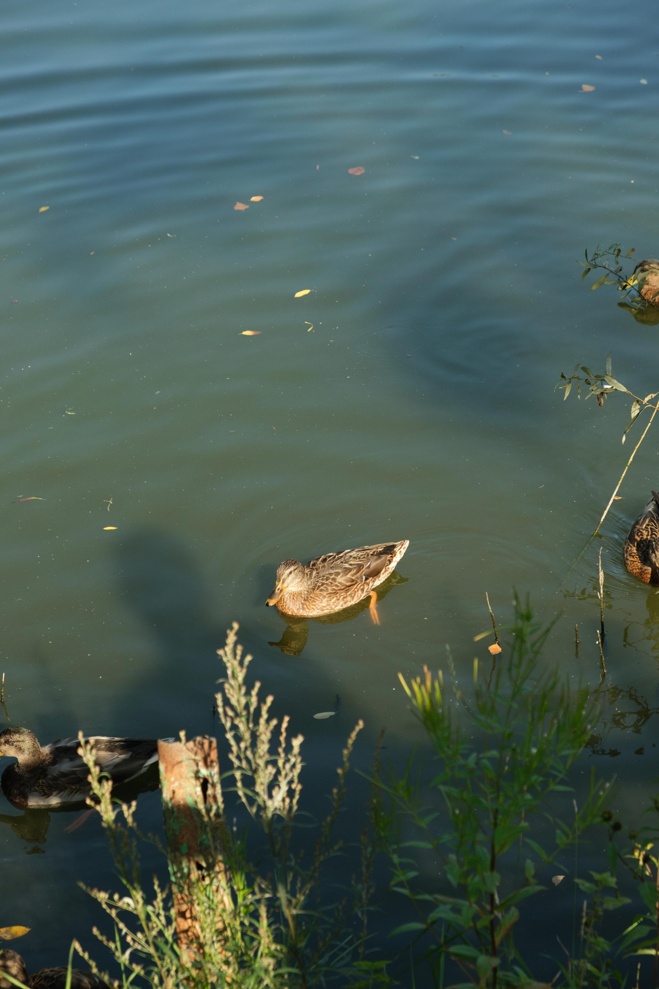 Замечательная повседневность. Контент-фотограф и видеограф в Перми