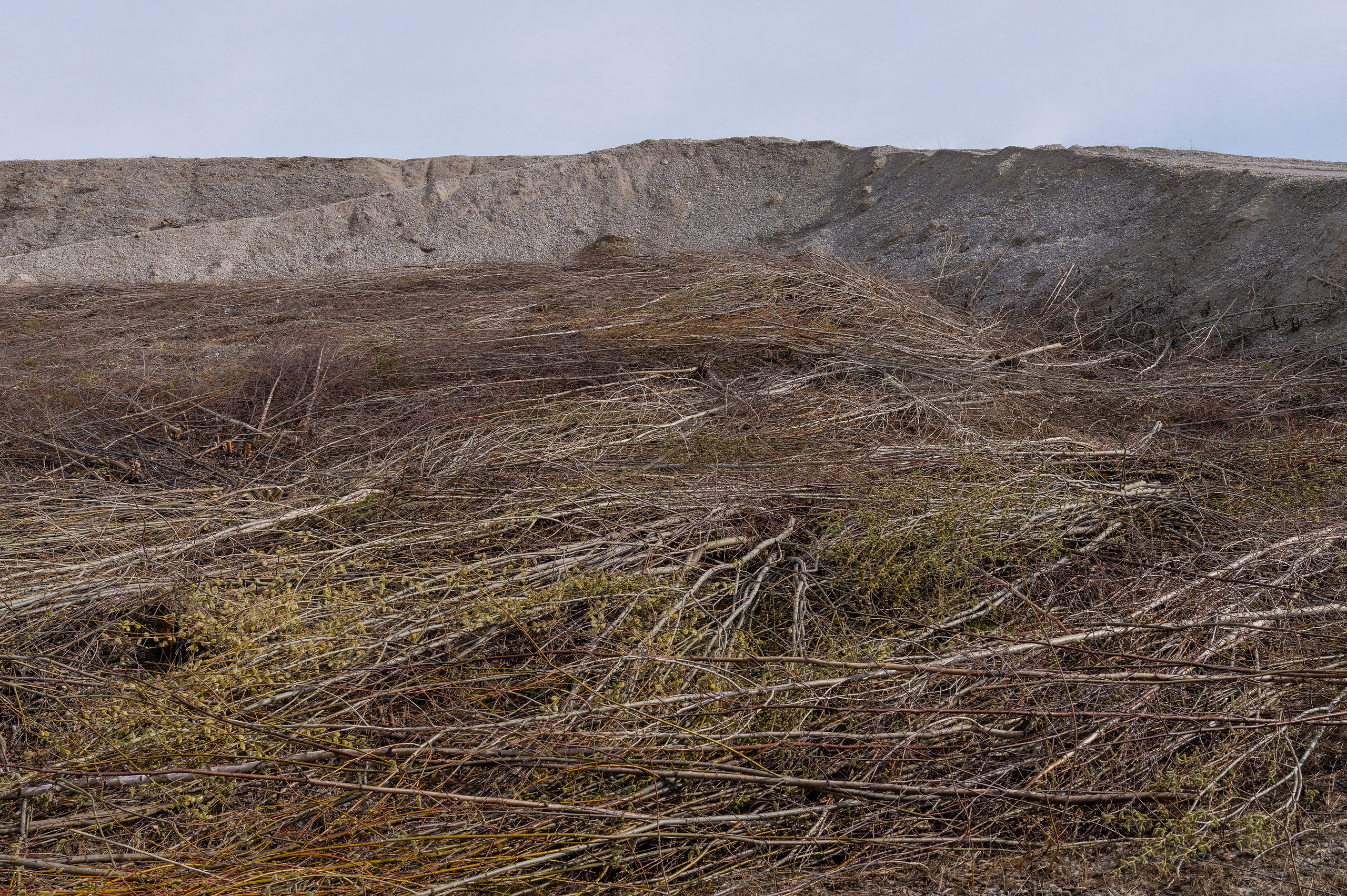 20×30 cm, digital photo printing on Pearl paper. 7+1AP