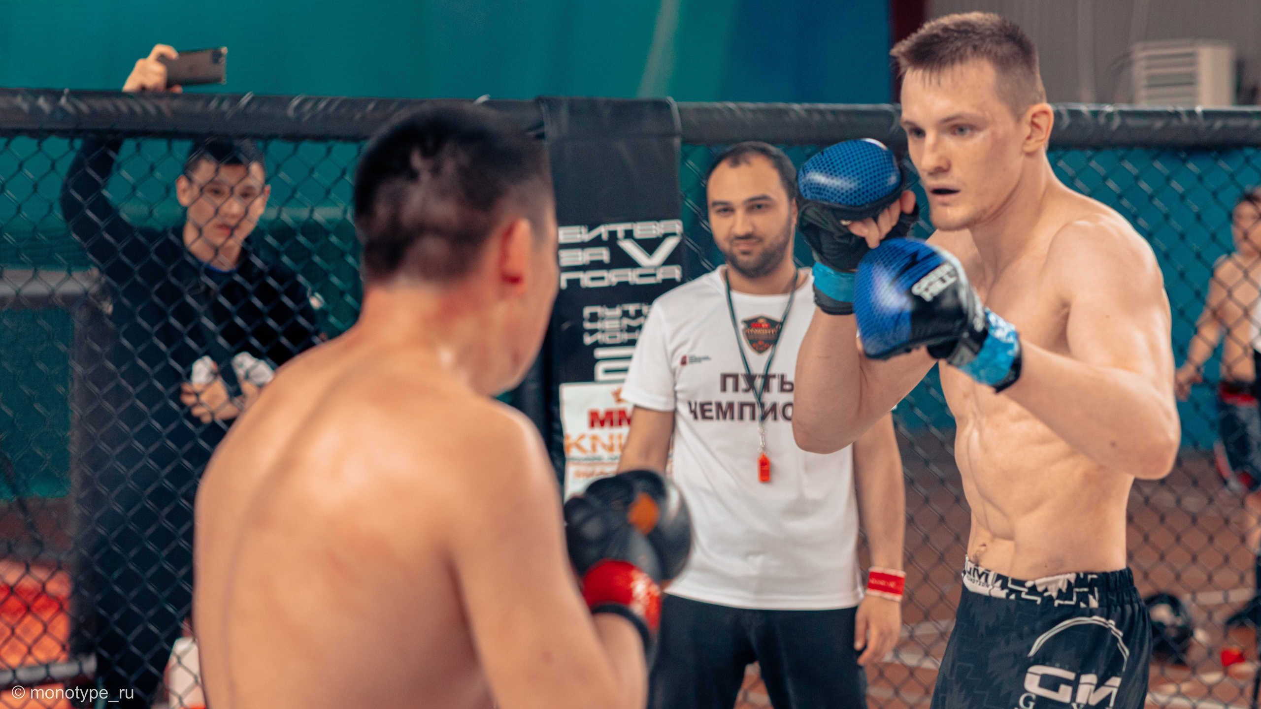 MMA. Бойцовский турнир