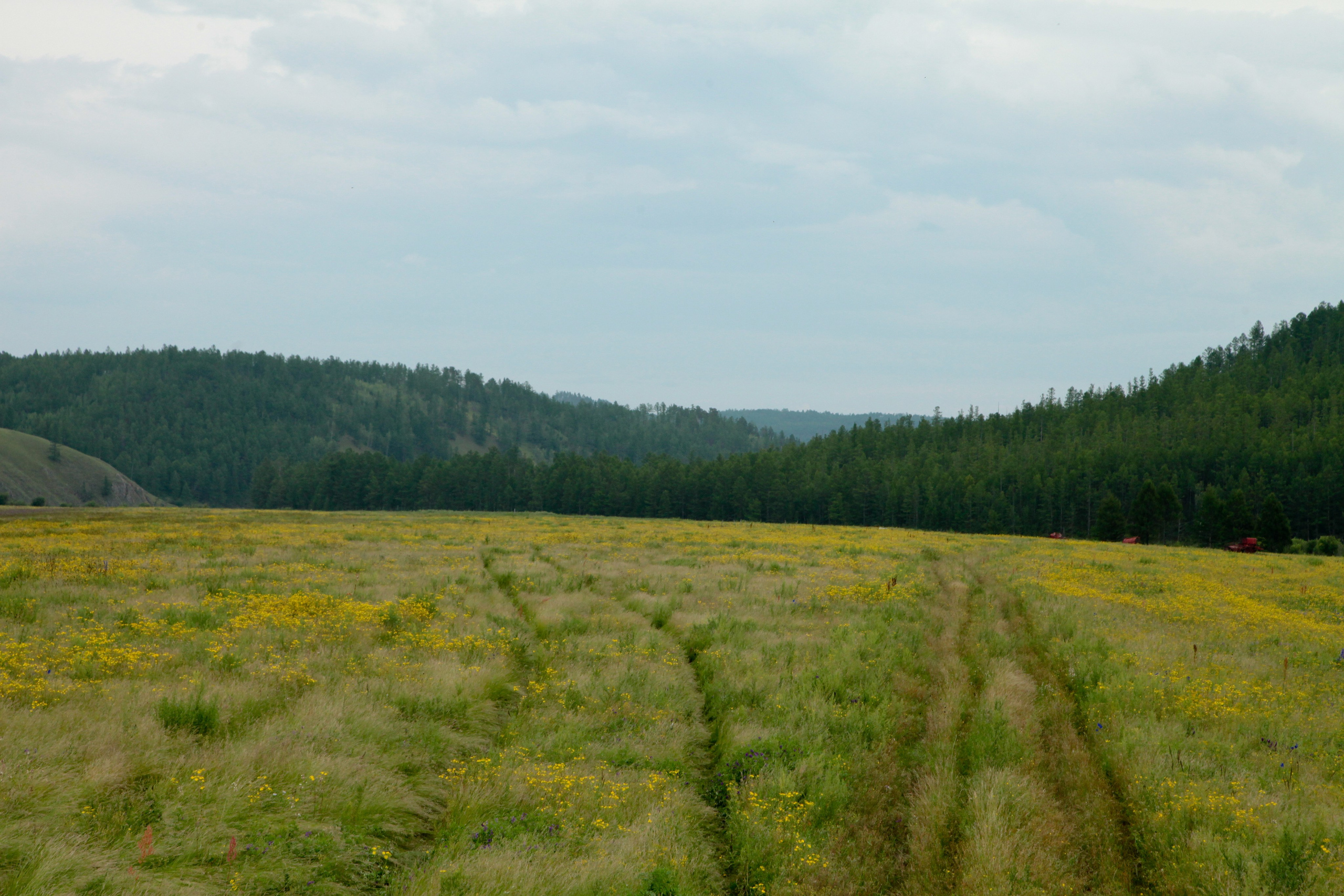 Фото Природы Забайкалья. Студия Максима Белослюдцева