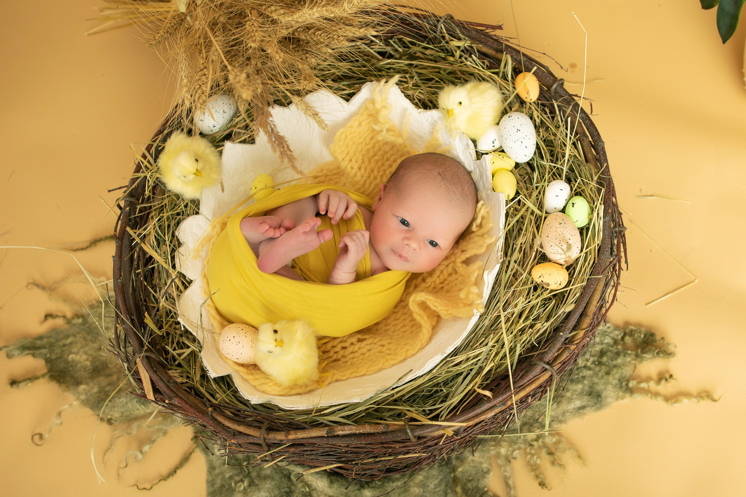 НОВОРОЖДЕННЫЕ. Фотограф новорожденных г. Тула